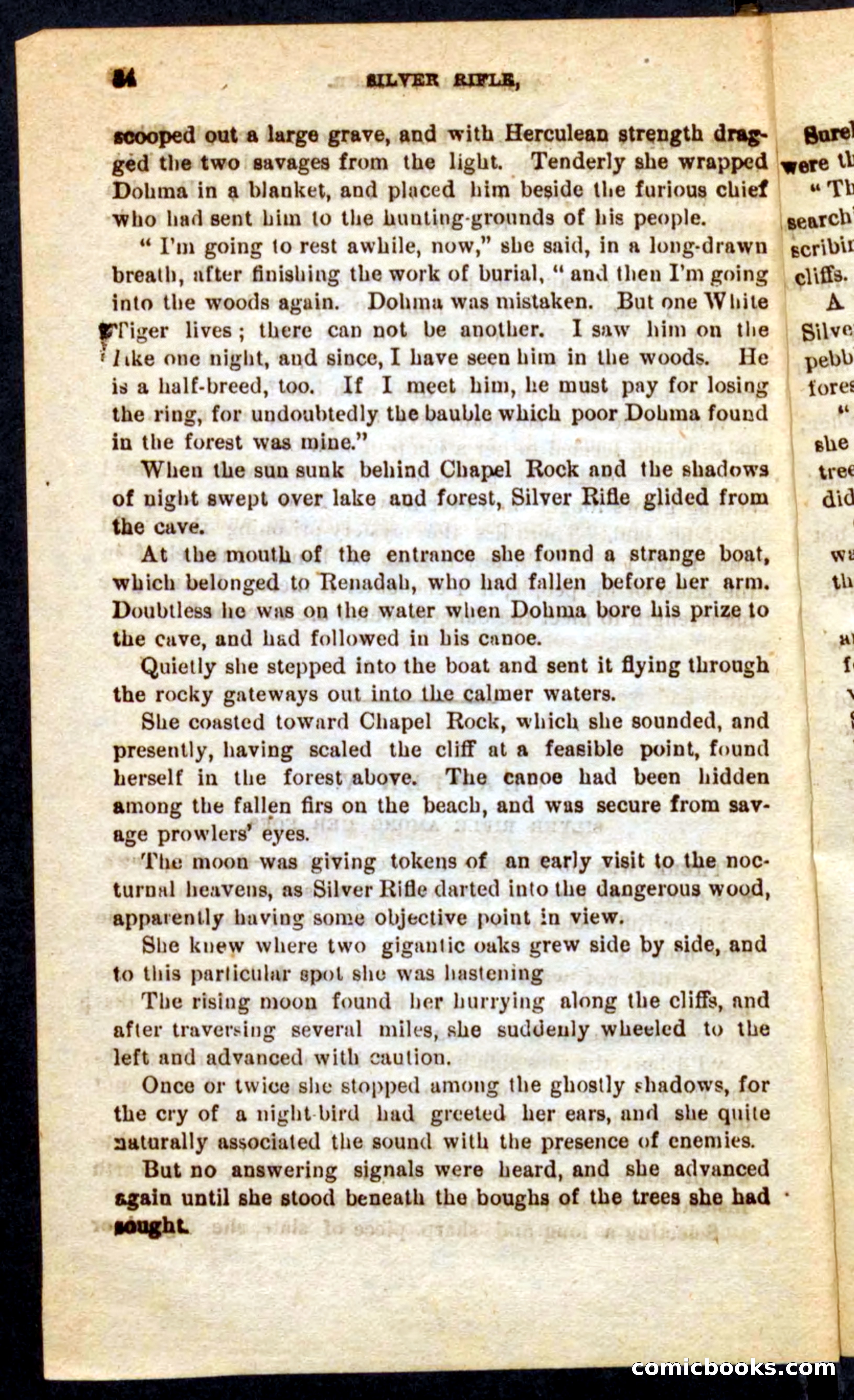 Silver Rifle, the Girl Trailer — page 30 of 100