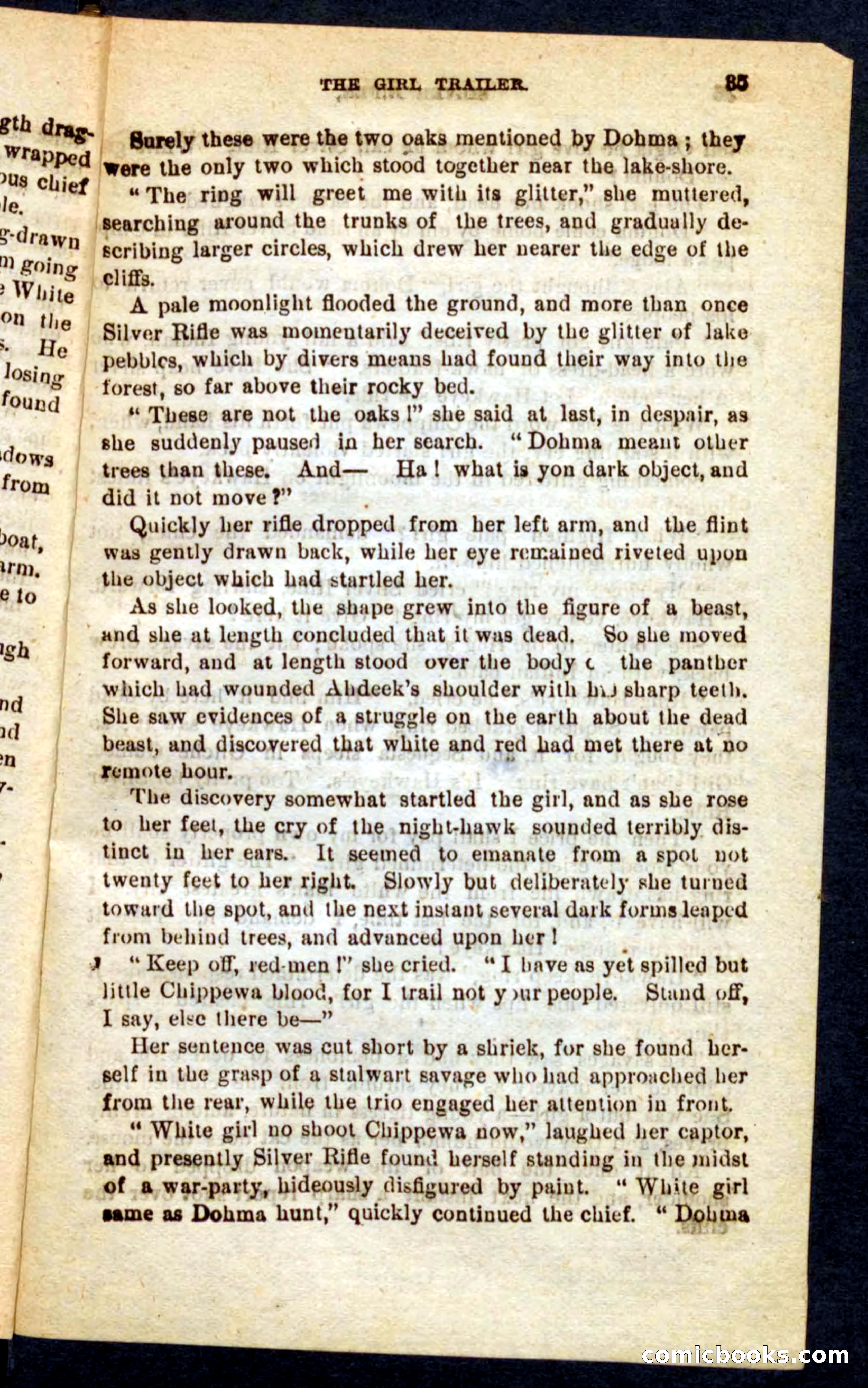 Silver Rifle, the Girl Trailer — page 31 of 100