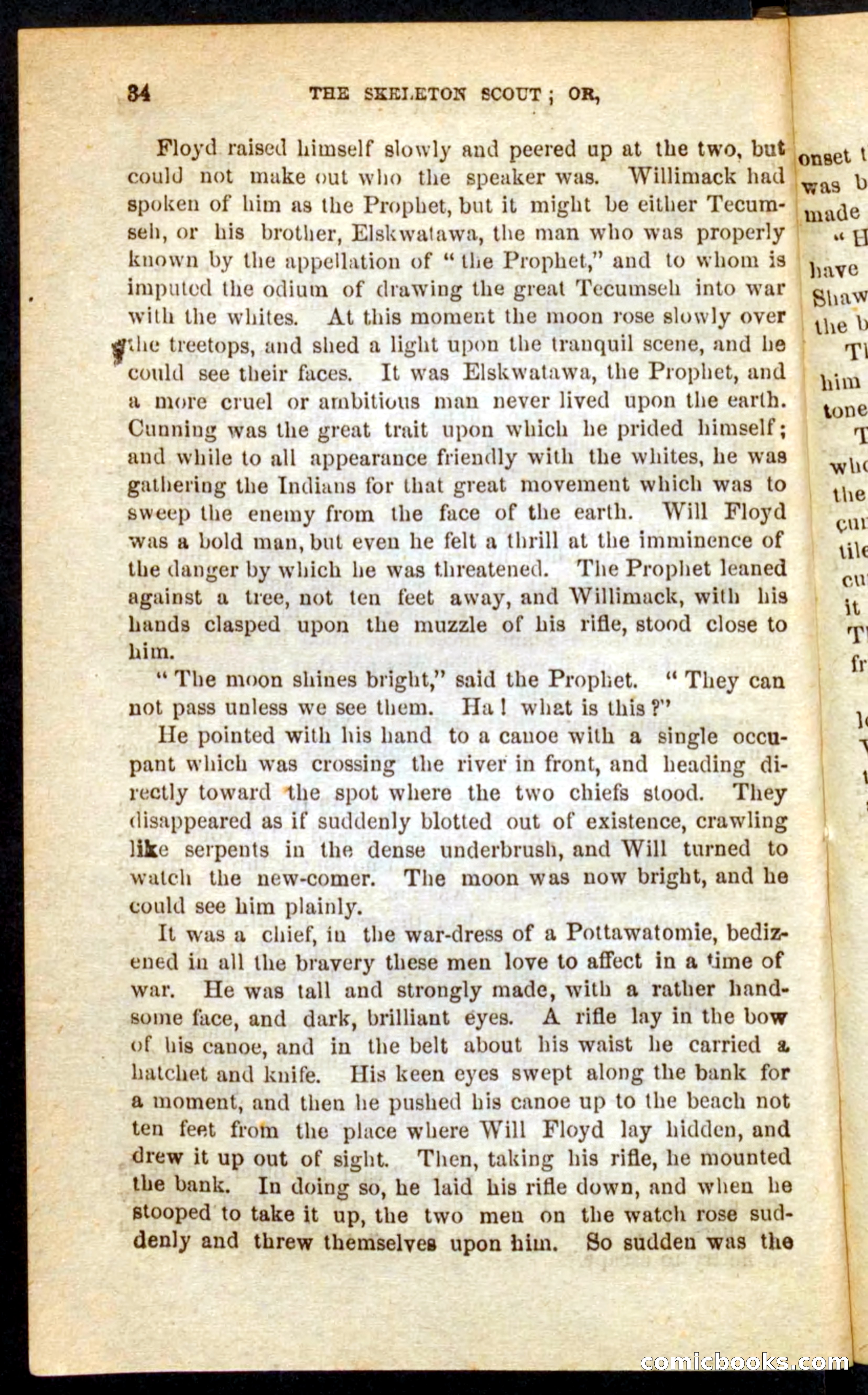 The Skeleton Scout — page 30 of 100