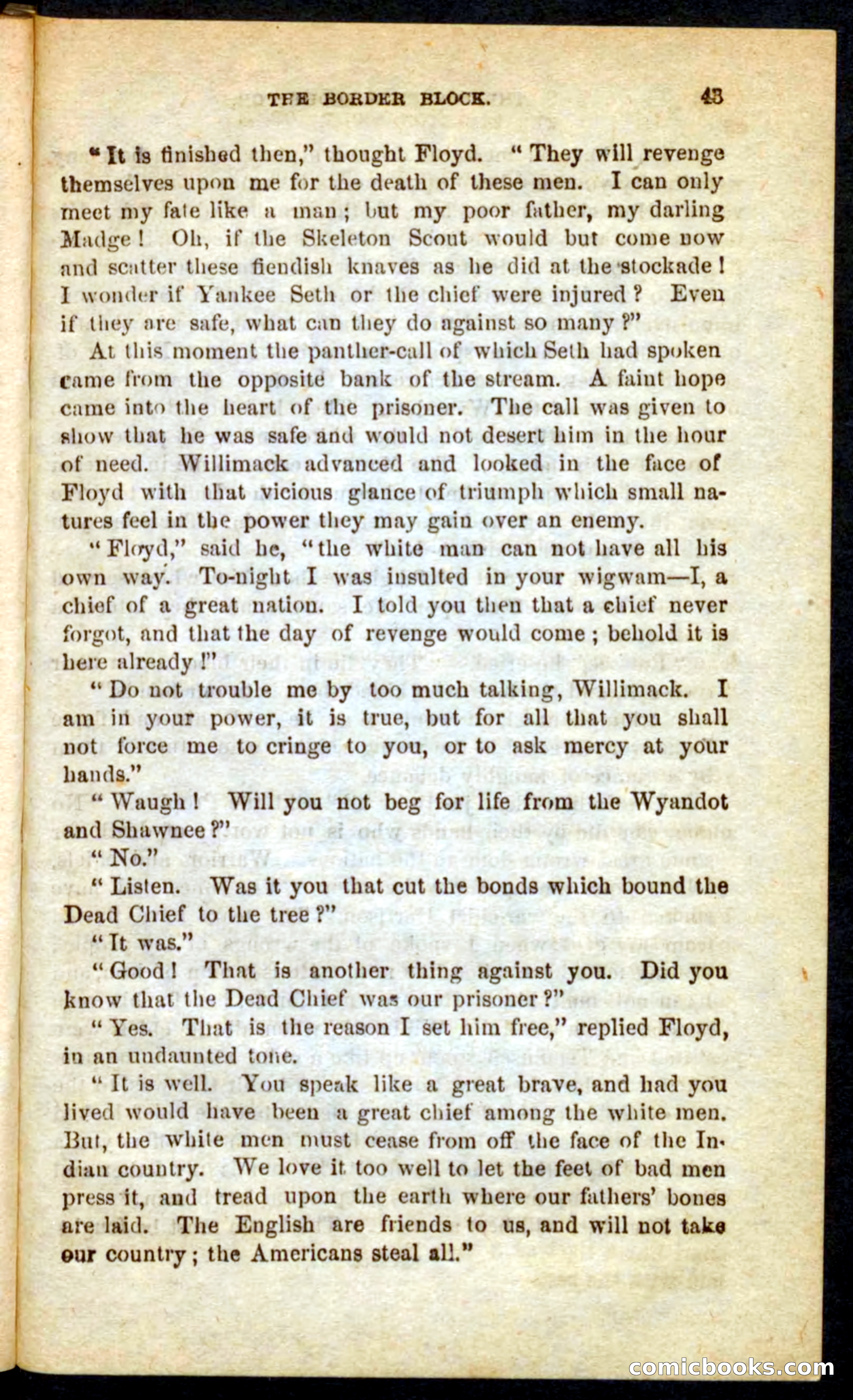 The Skeleton Scout — page 39 of 100
