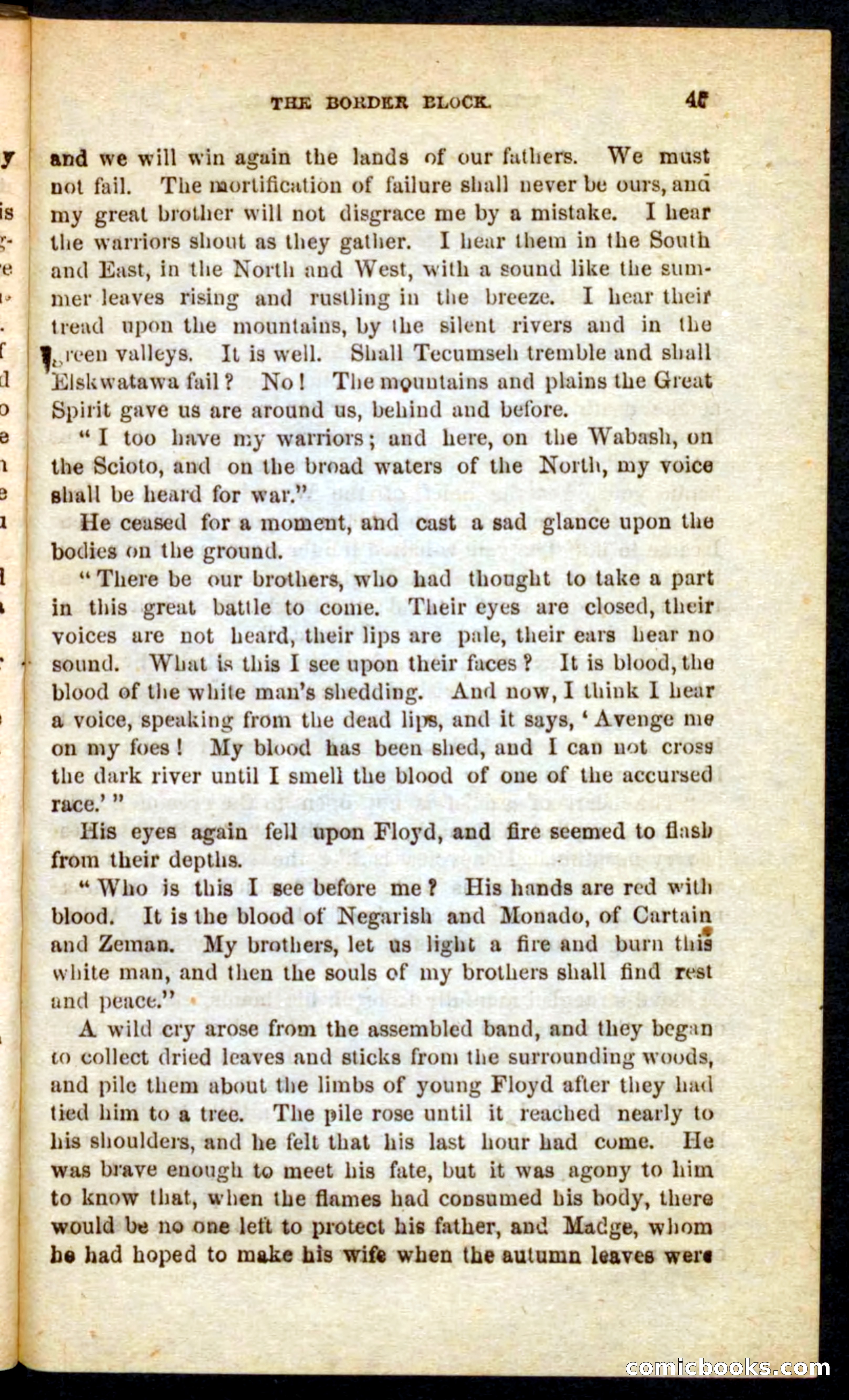 The Skeleton Scout — page 41 of 100