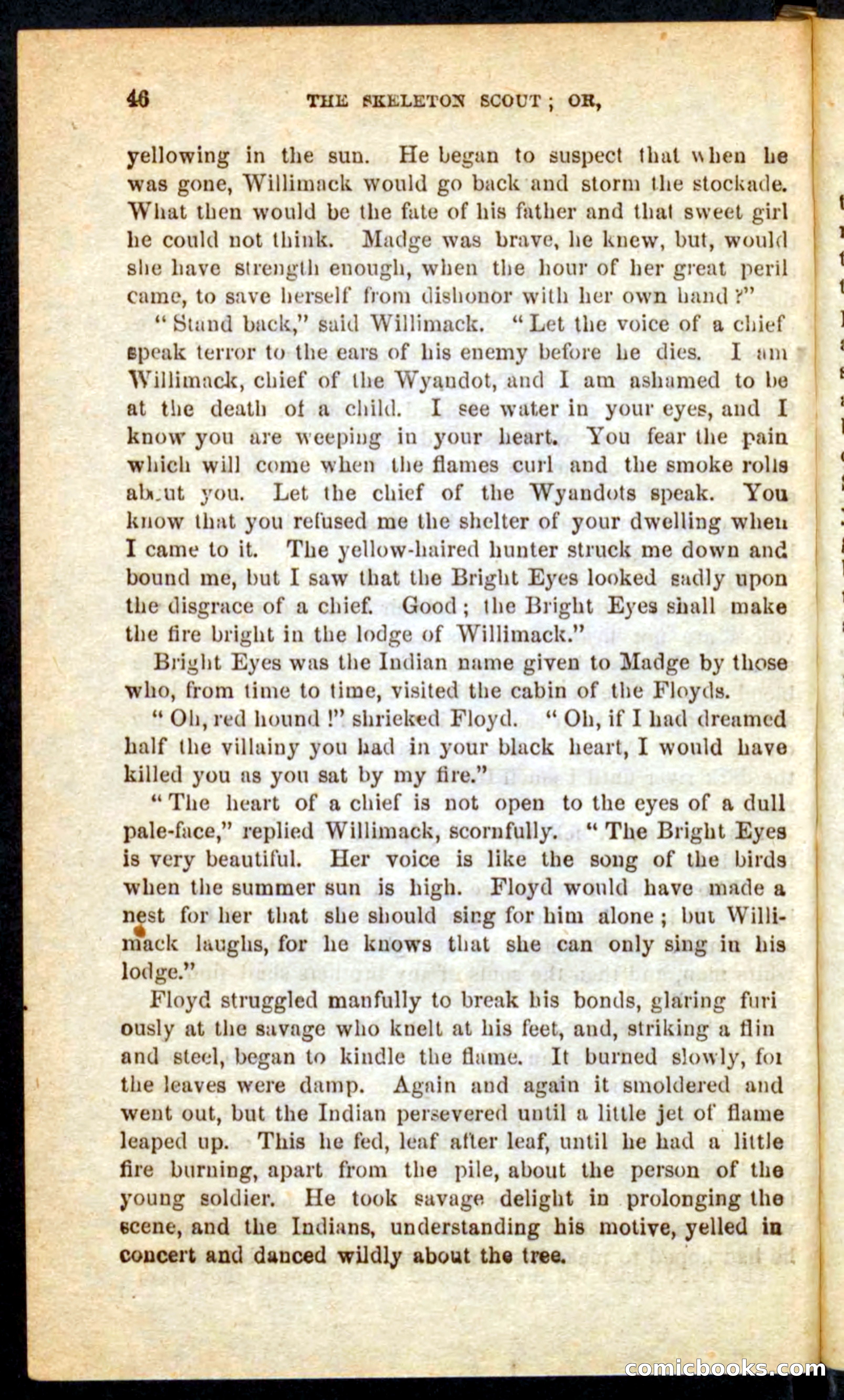 The Skeleton Scout — page 42 of 100