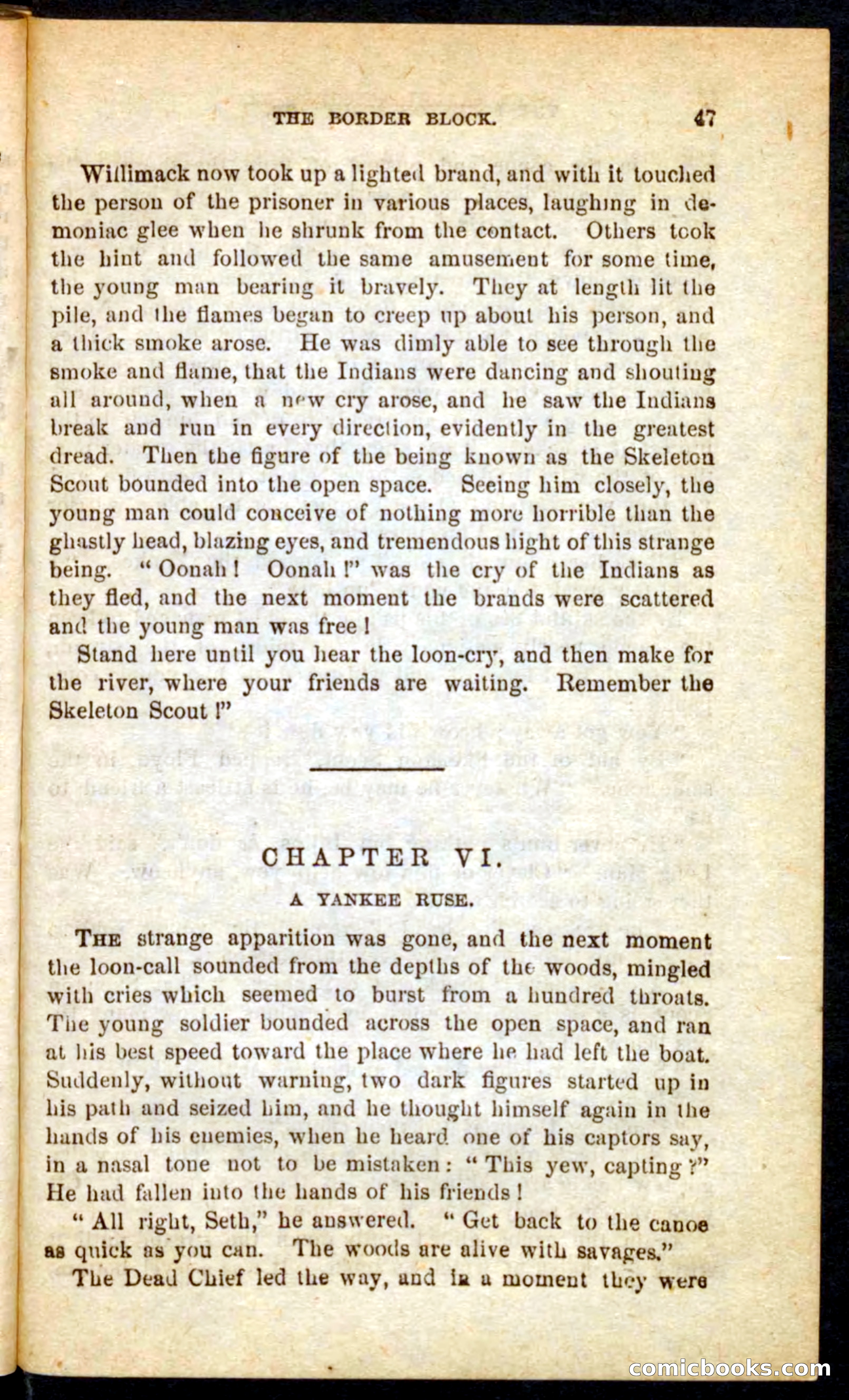 The Skeleton Scout — page 43 of 100