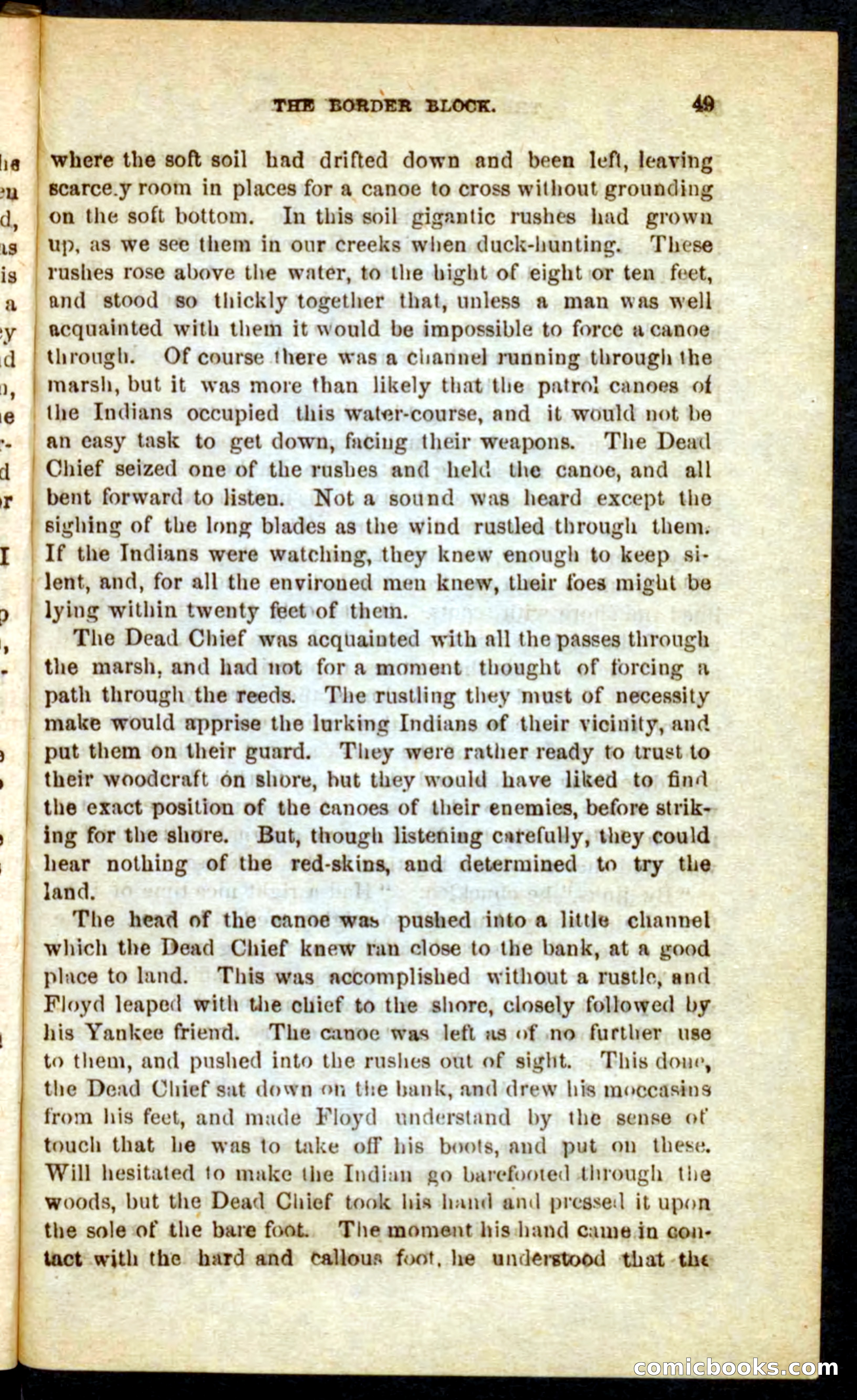 The Skeleton Scout — page 45 of 100