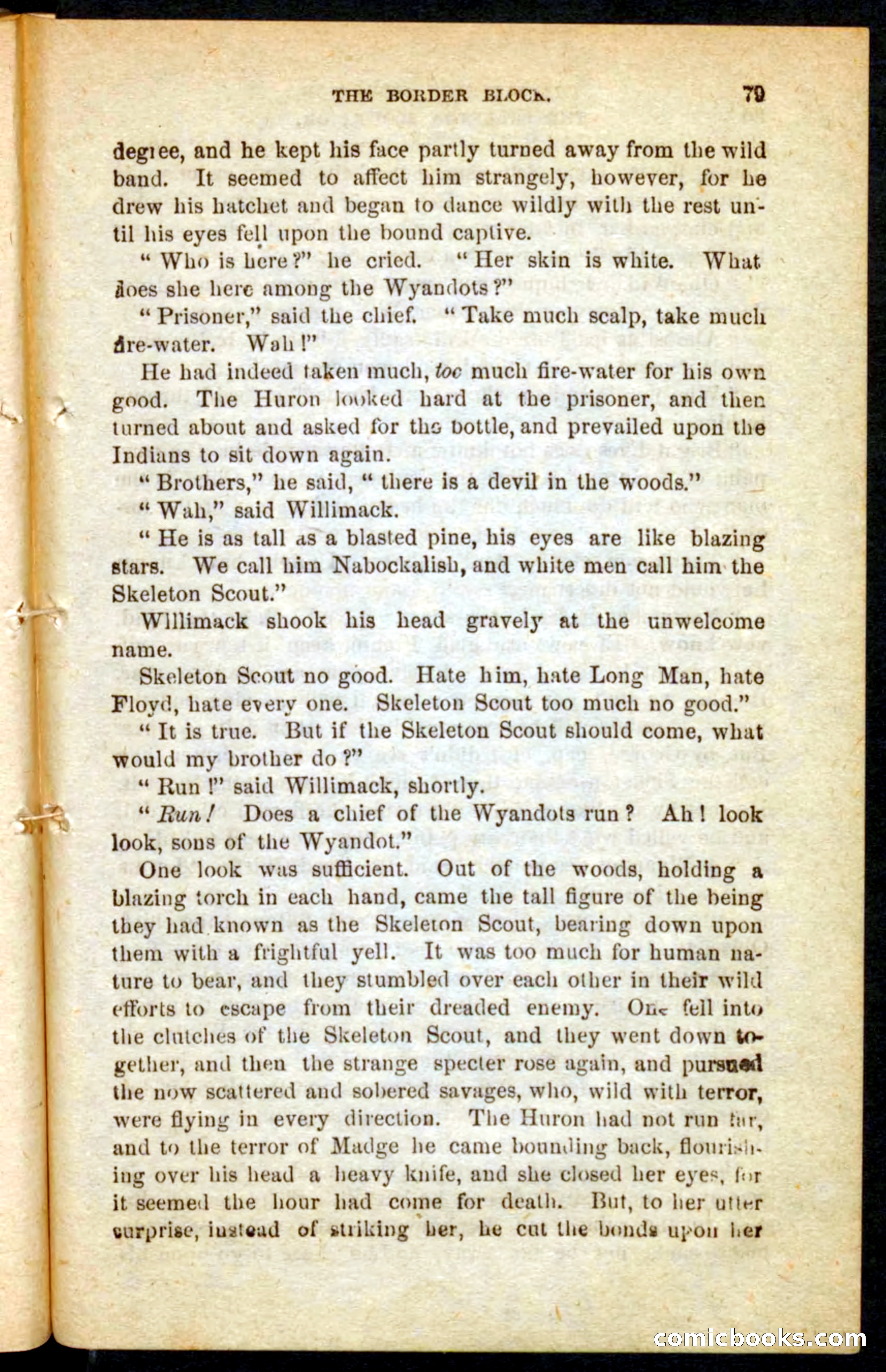 The Skeleton Scout — page 75 of 100