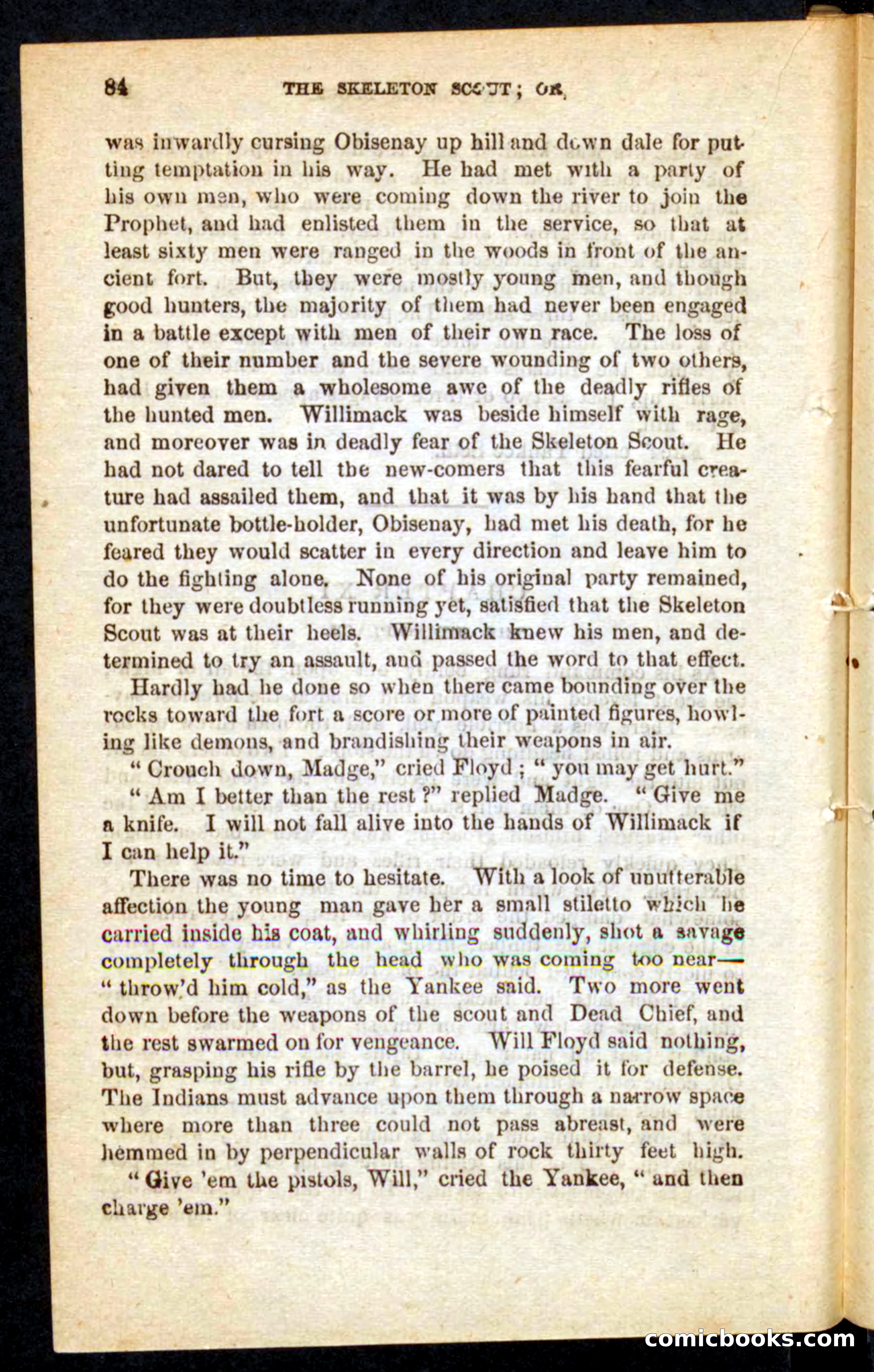 The Skeleton Scout — page 80 of 100