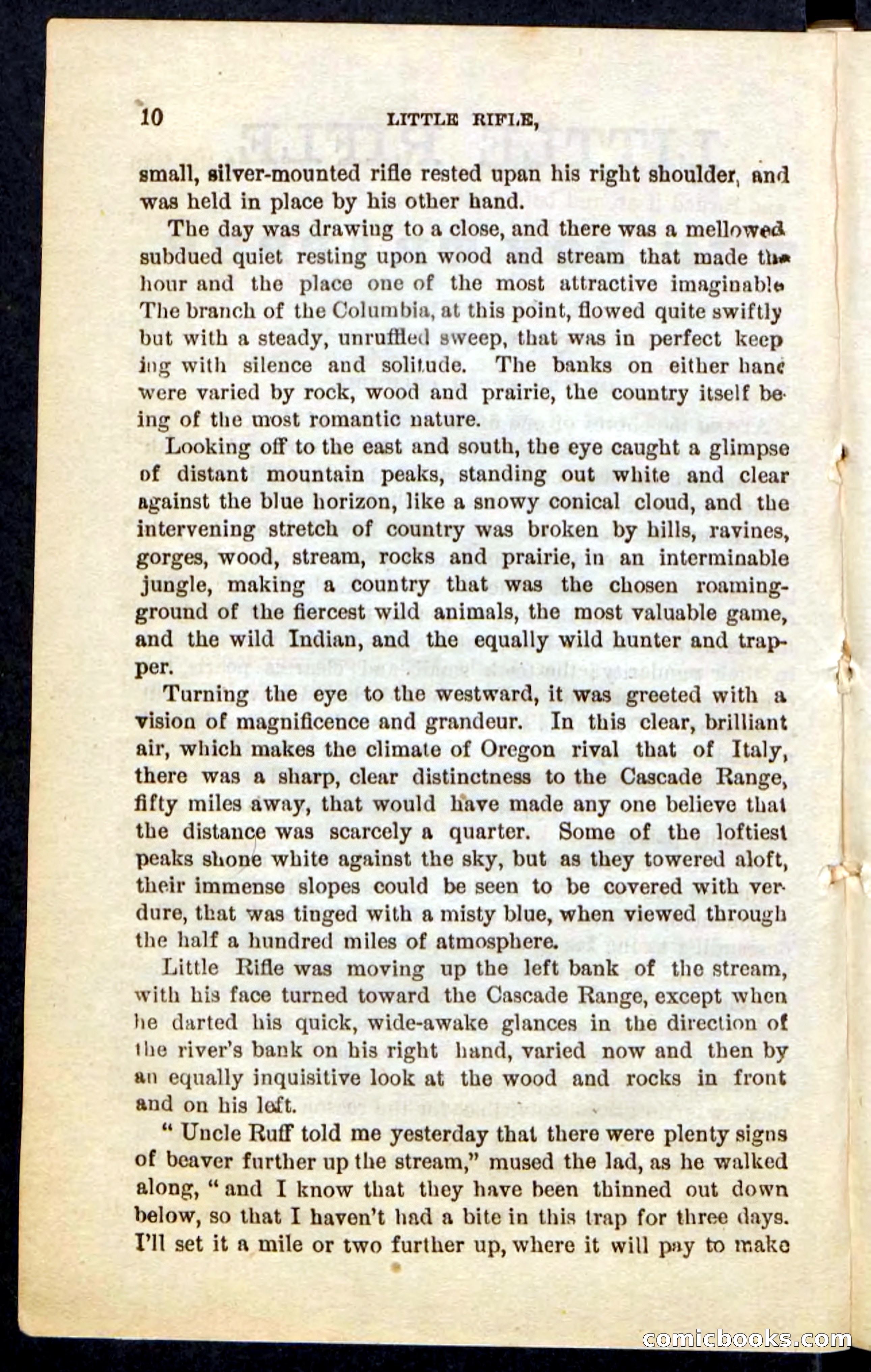 Beadle's Pocket Novels No. 74: Little Rifle, the Boy Trapper — page 6 of 100