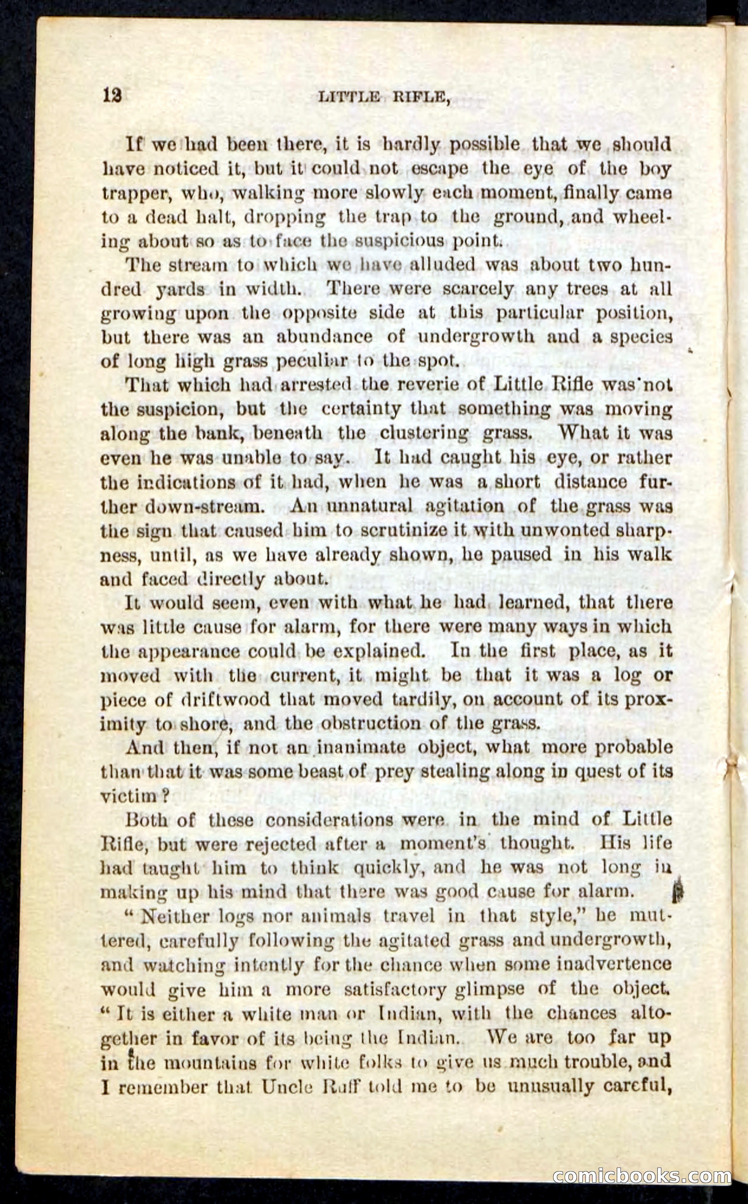 Beadle's Pocket Novels No. 74: Little Rifle, the Boy Trapper — page 8 of 100