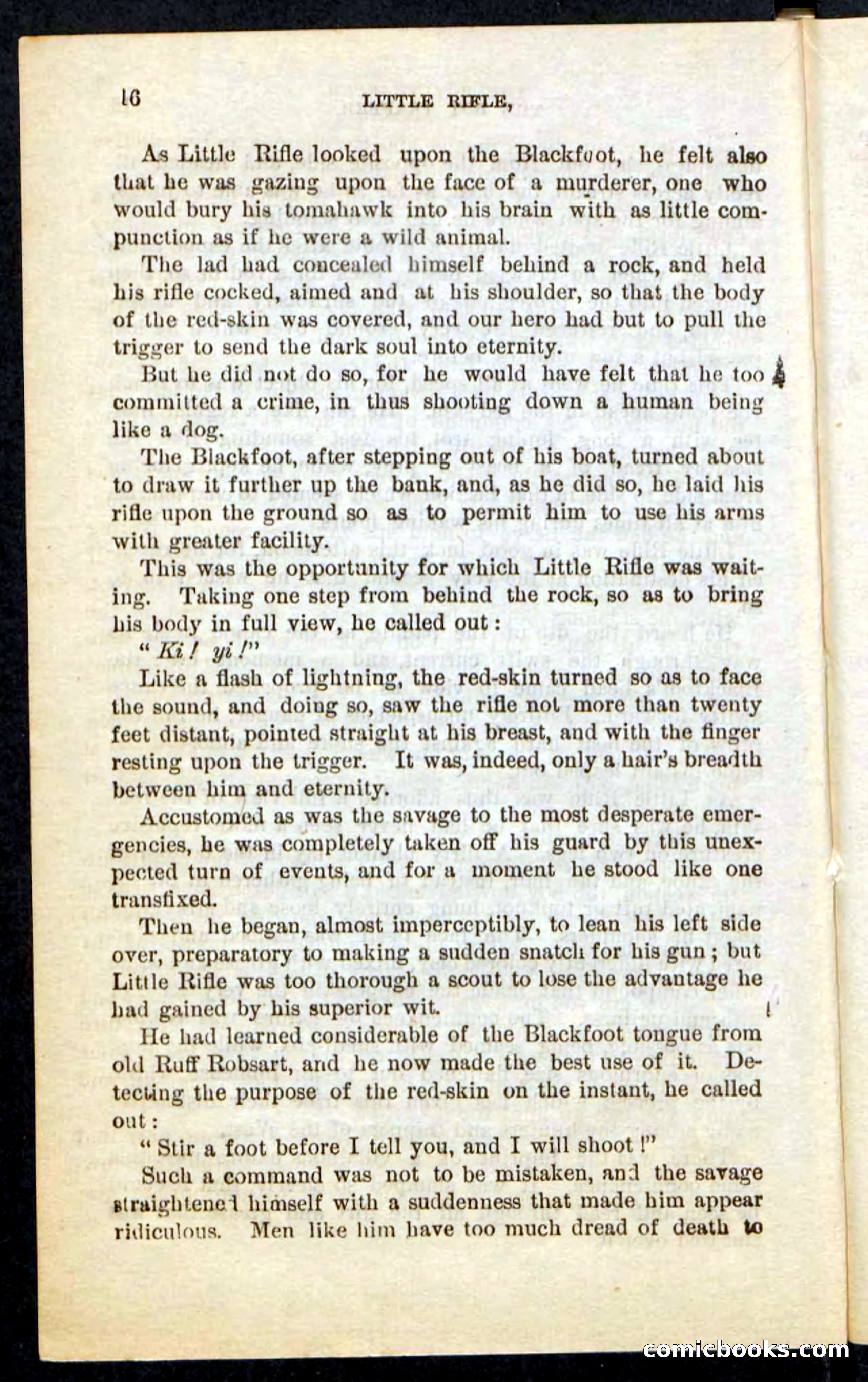 Beadle's Pocket Novels No. 74: Little Rifle, the Boy Trapper — page 12 of 100