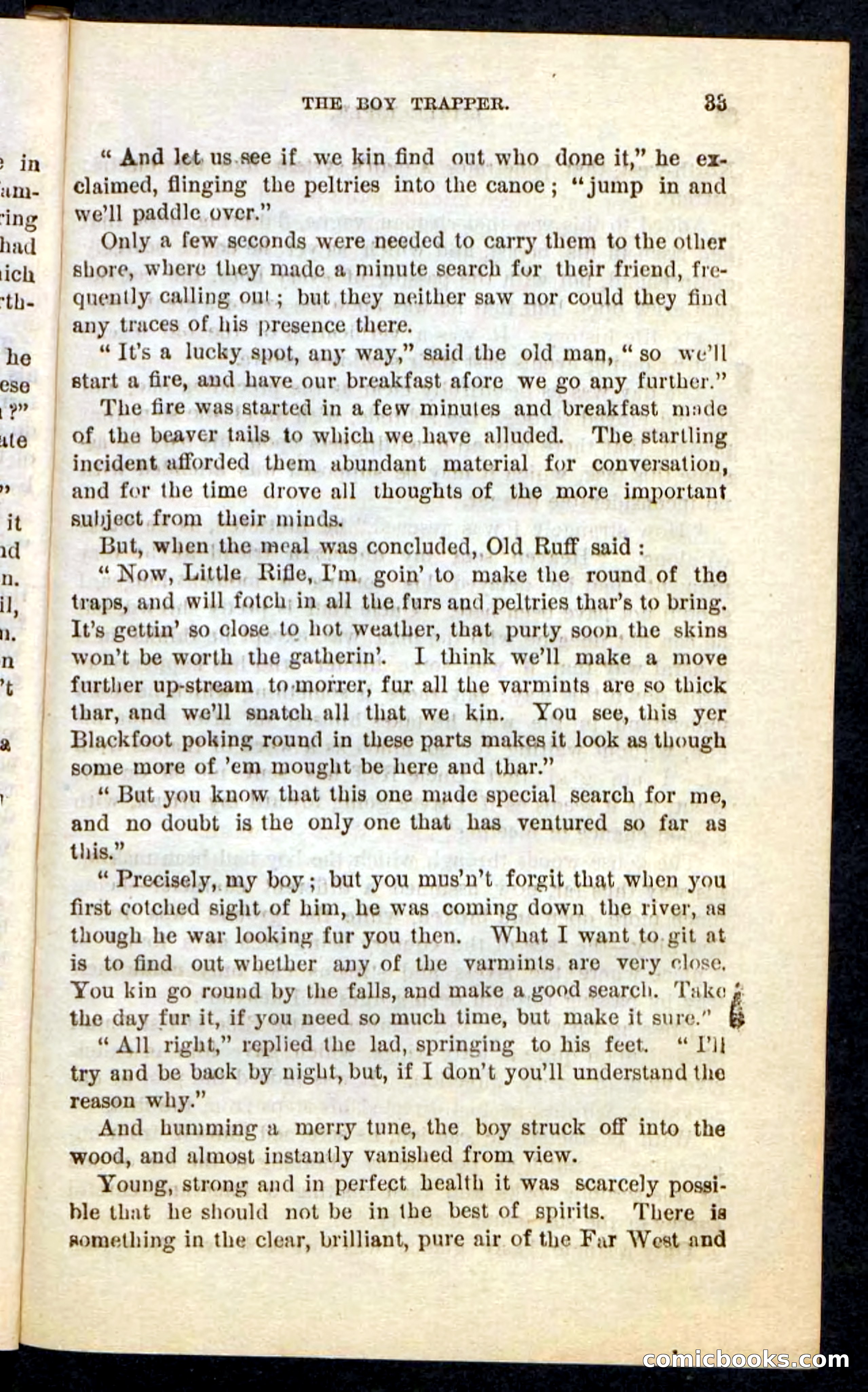 Beadle's Pocket Novels No. 74: Little Rifle, the Boy Trapper — page 29 of 100