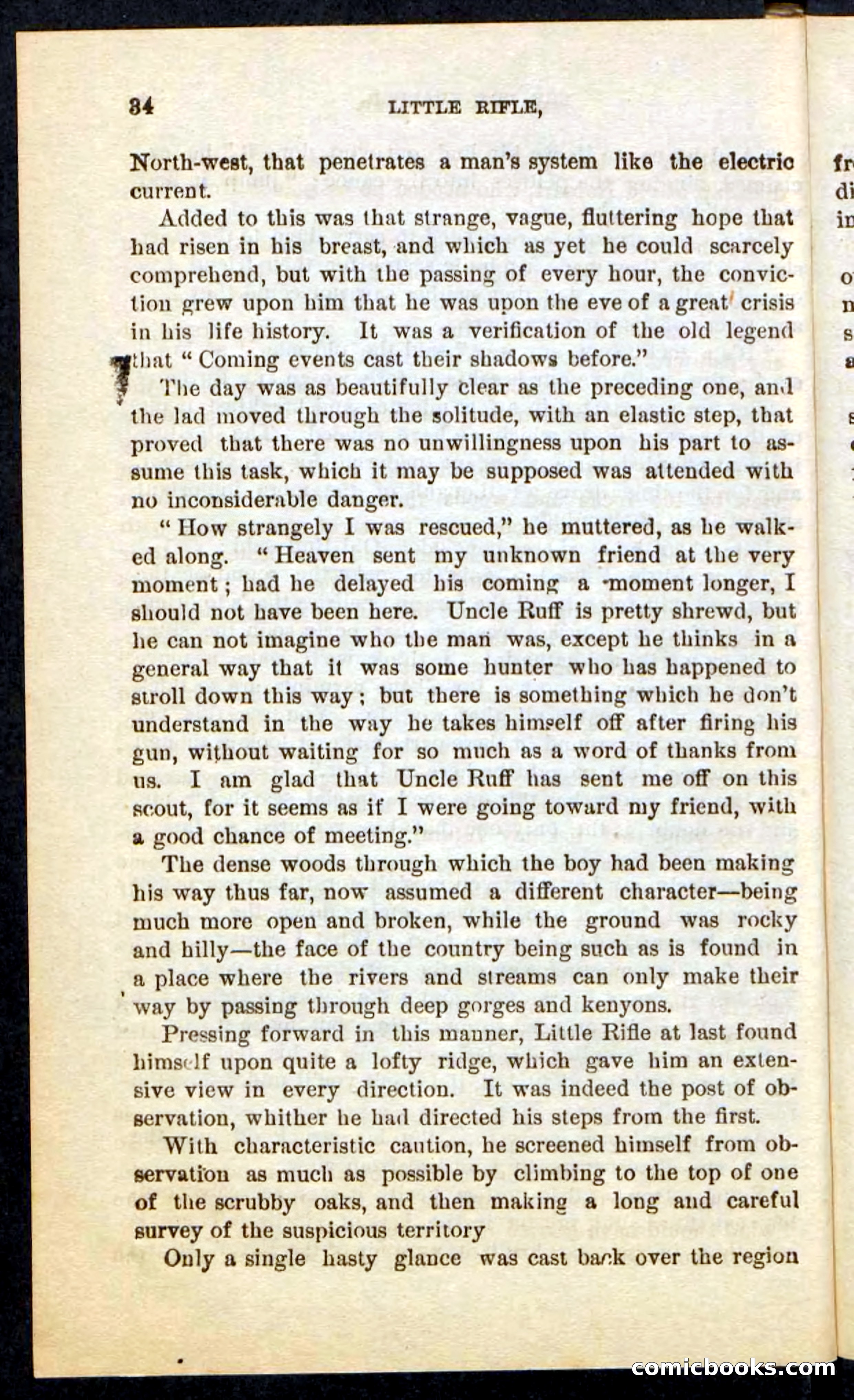 Beadle's Pocket Novels No. 74: Little Rifle, the Boy Trapper — page 30 of 100