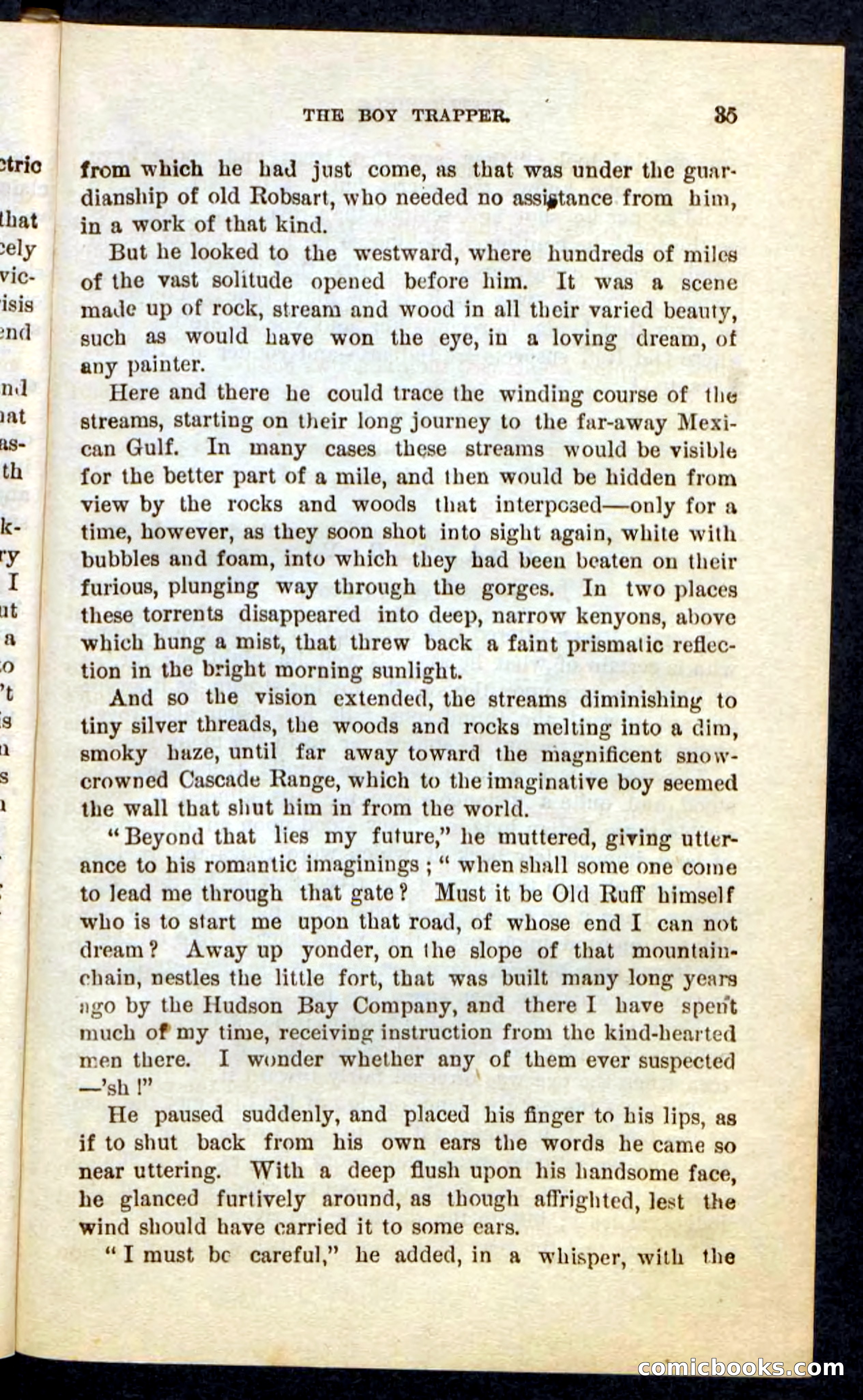 Beadle's Pocket Novels No. 74: Little Rifle, the Boy Trapper — page 31 of 100
