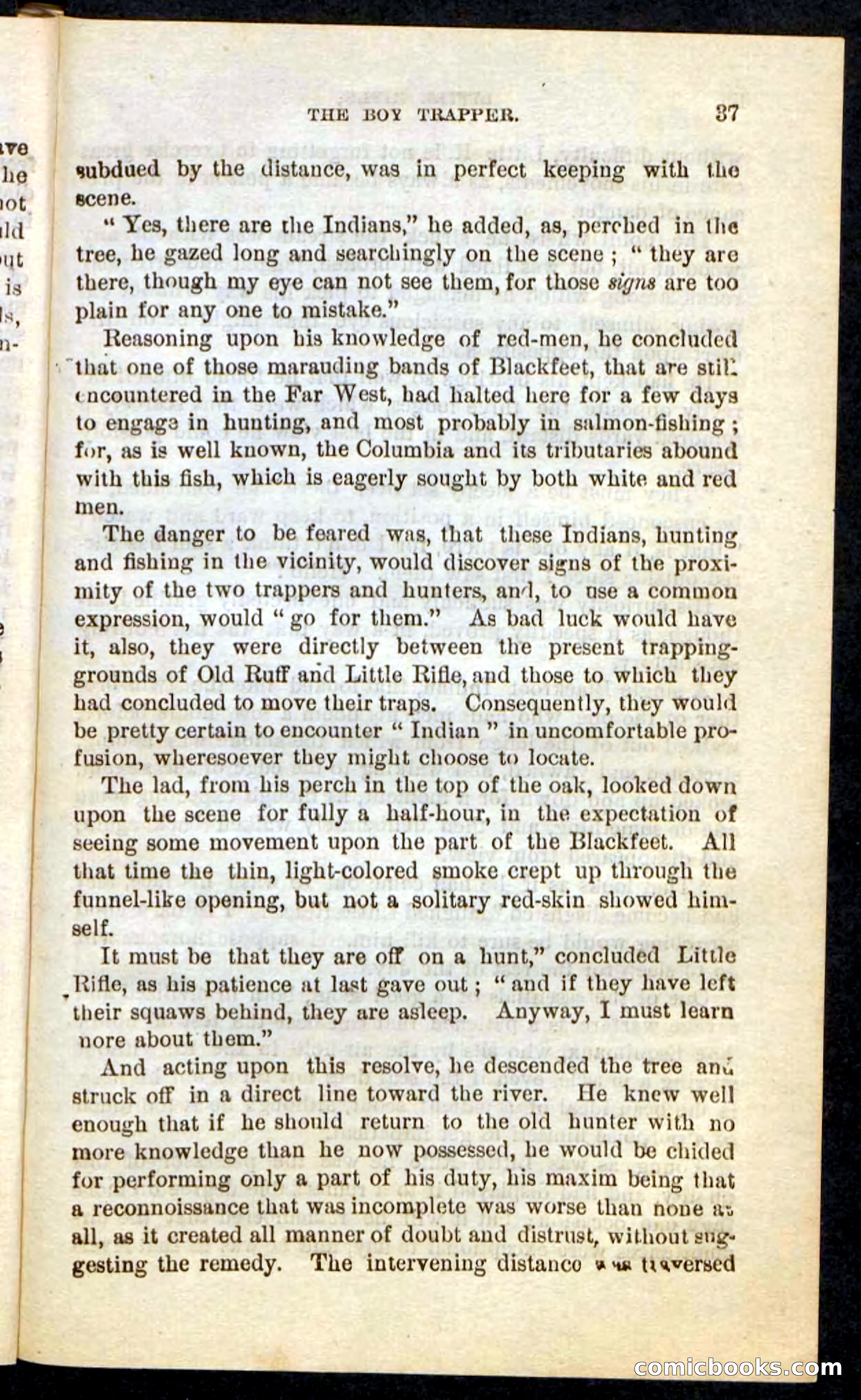 Beadle's Pocket Novels No. 74: Little Rifle, the Boy Trapper — page 33 of 100