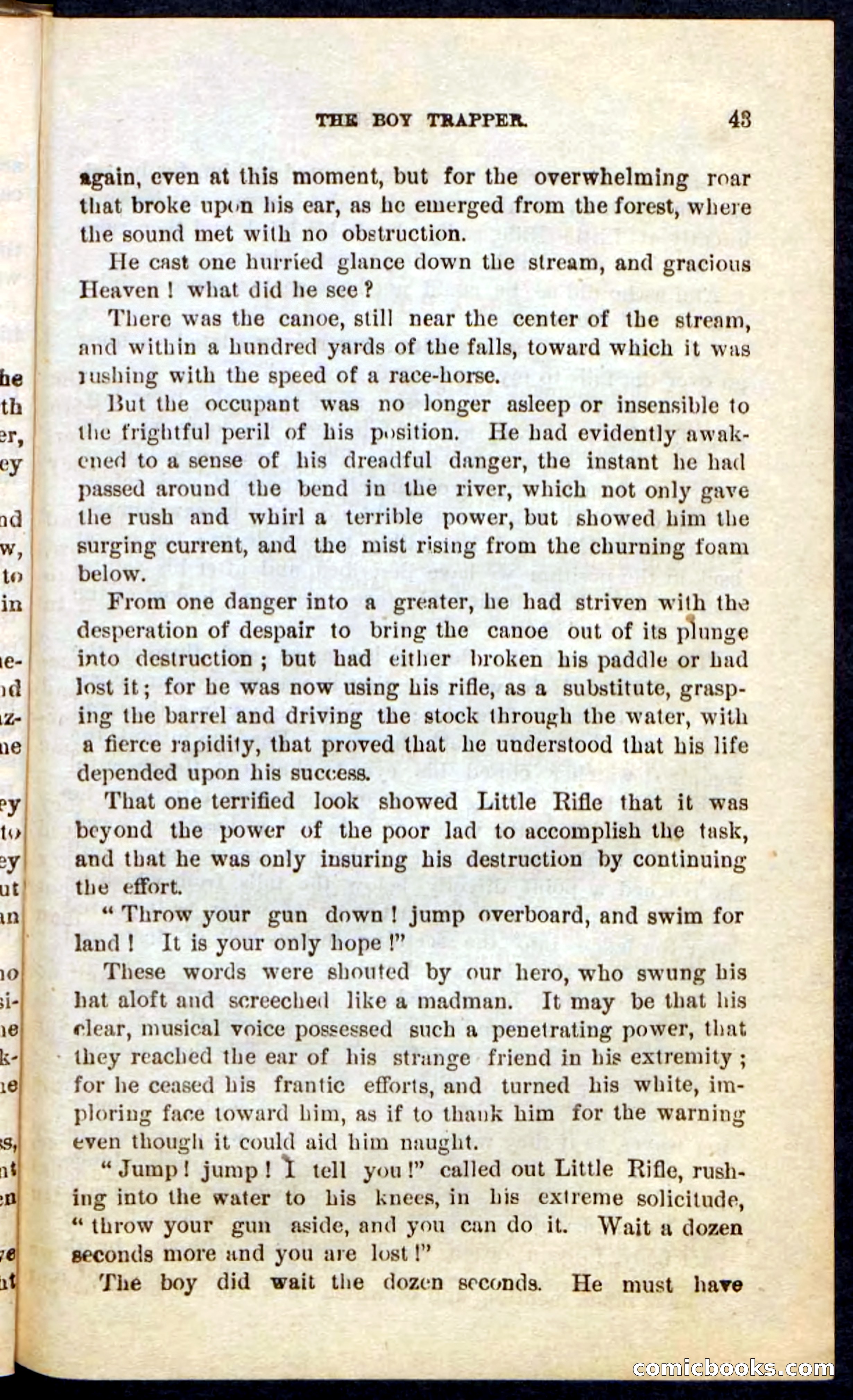 Beadle's Pocket Novels No. 74: Little Rifle, the Boy Trapper — page 39 of 100