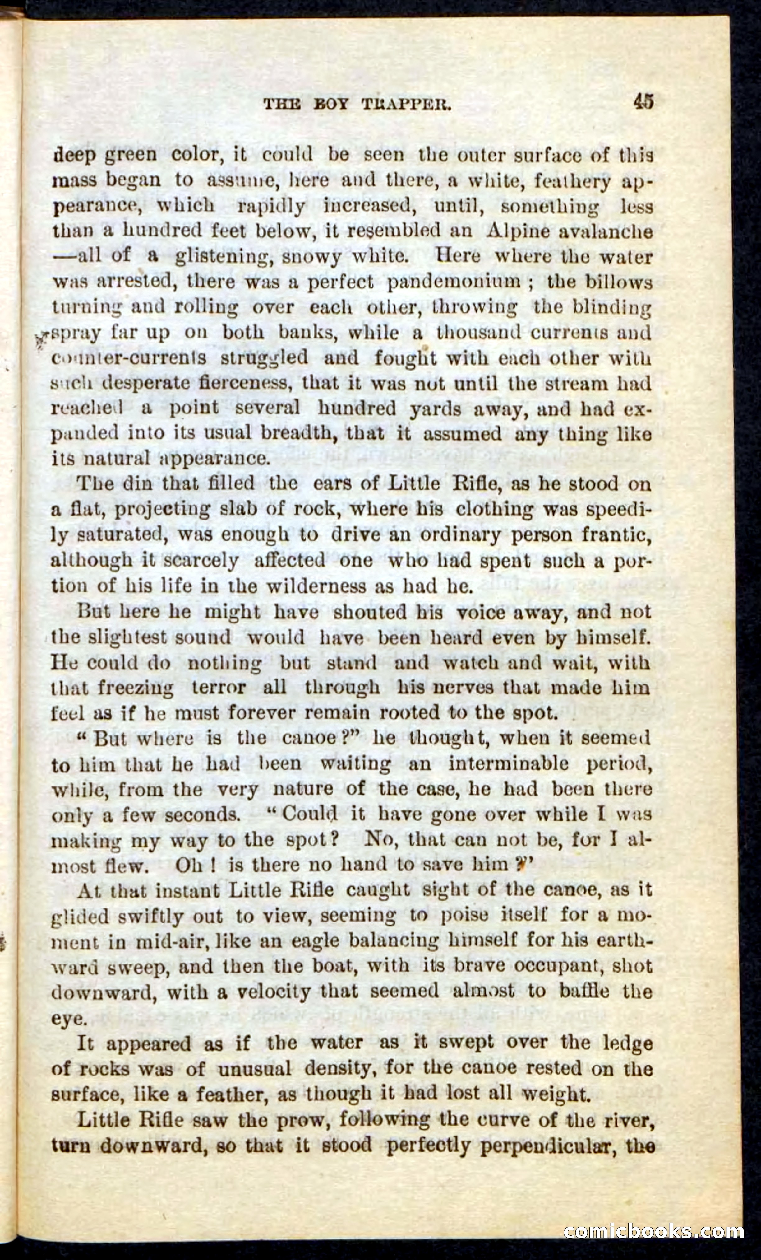 Beadle's Pocket Novels No. 74: Little Rifle, the Boy Trapper — page 41 of 100