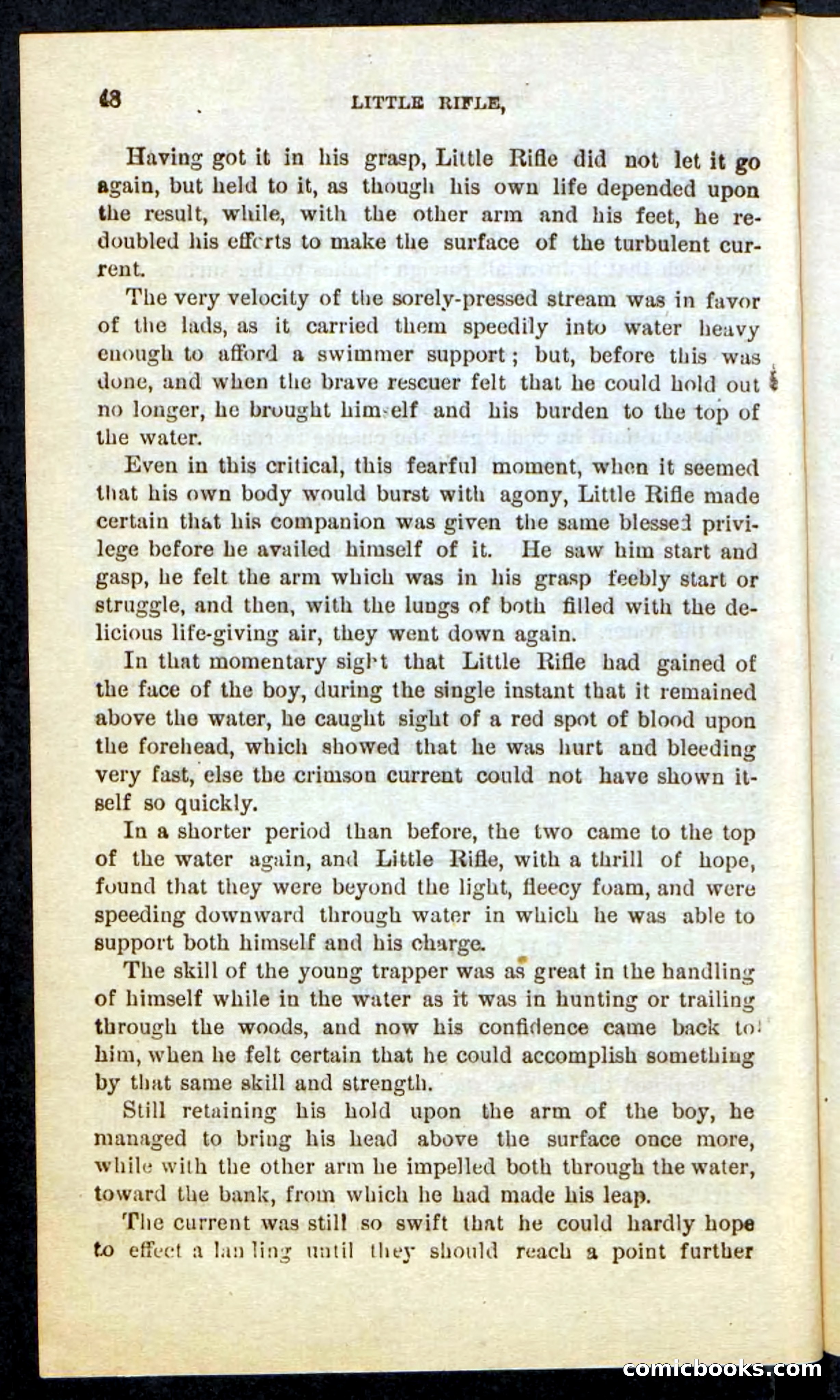 Beadle's Pocket Novels No. 74: Little Rifle, the Boy Trapper — page 44 of 100