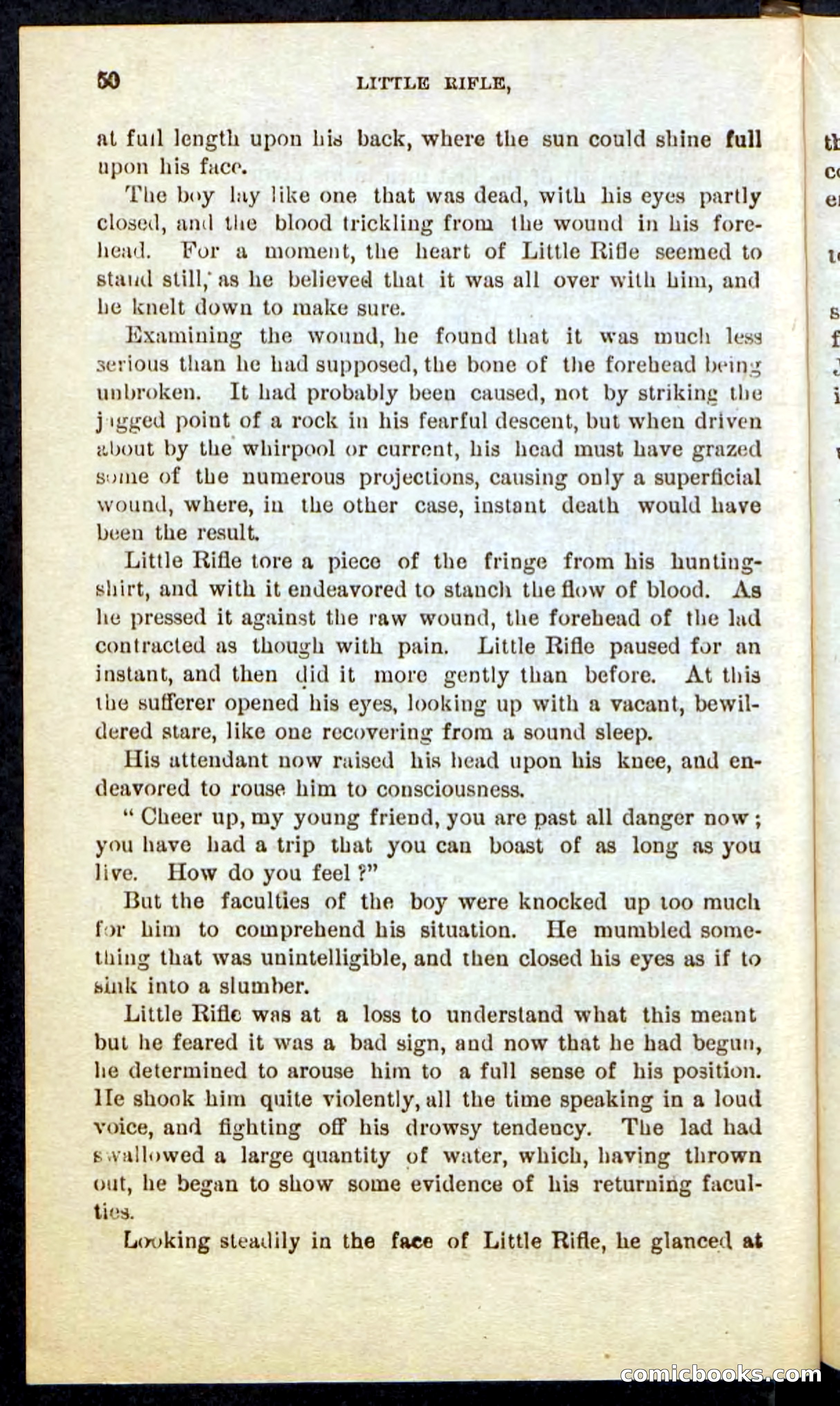 Beadle's Pocket Novels No. 74: Little Rifle, the Boy Trapper — page 46 of 100