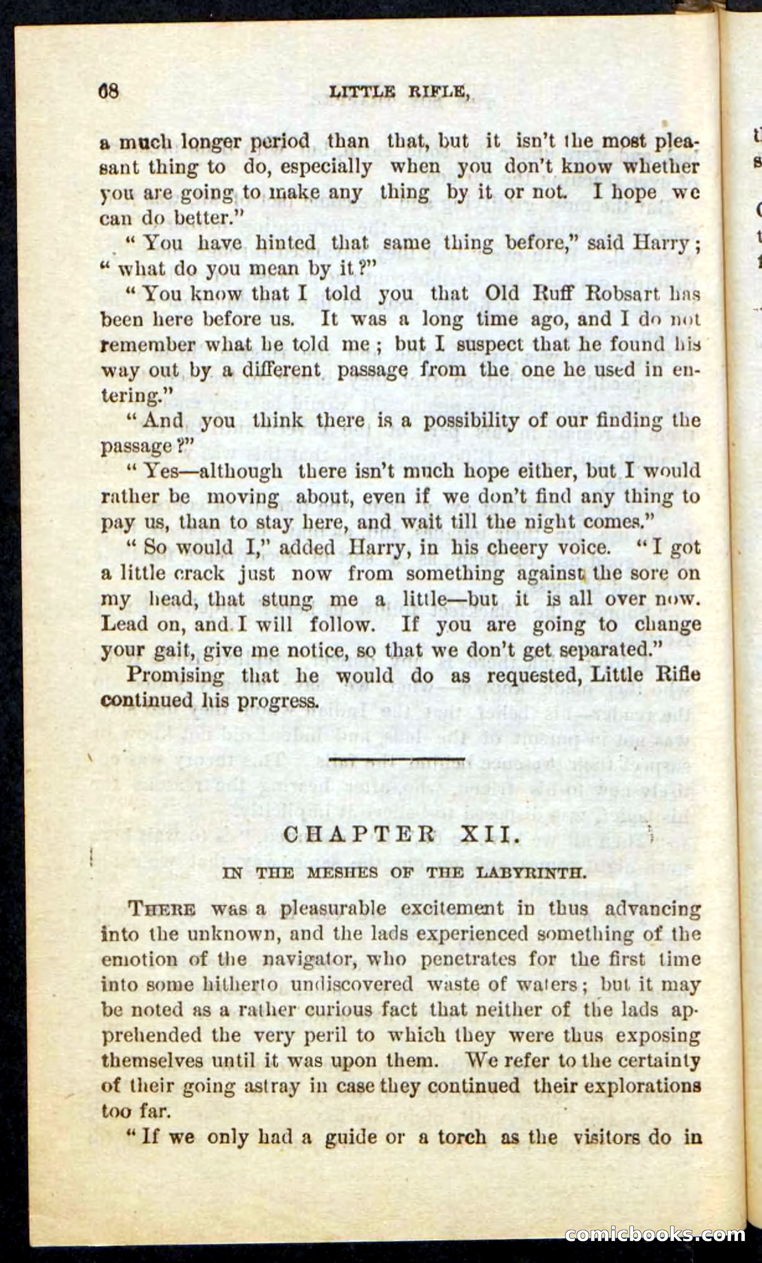 Beadle's Pocket Novels No. 74: Little Rifle, the Boy Trapper — page 64 of 100