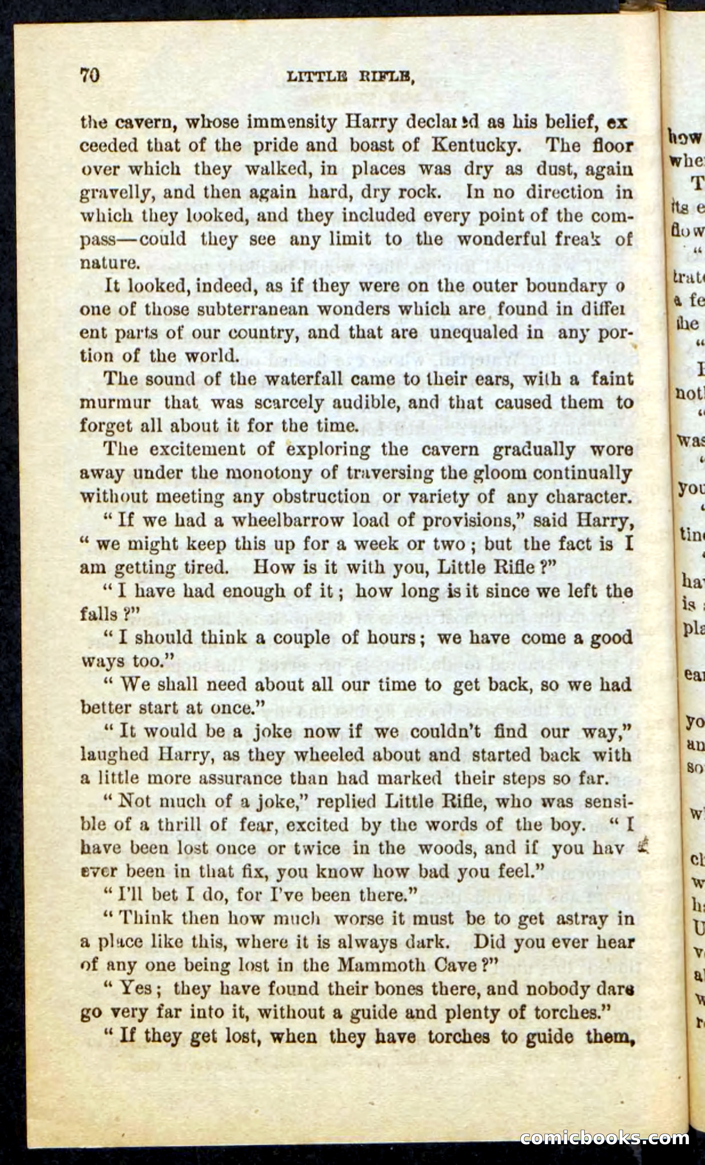Beadle's Pocket Novels No. 74: Little Rifle, the Boy Trapper — page 66 of 100