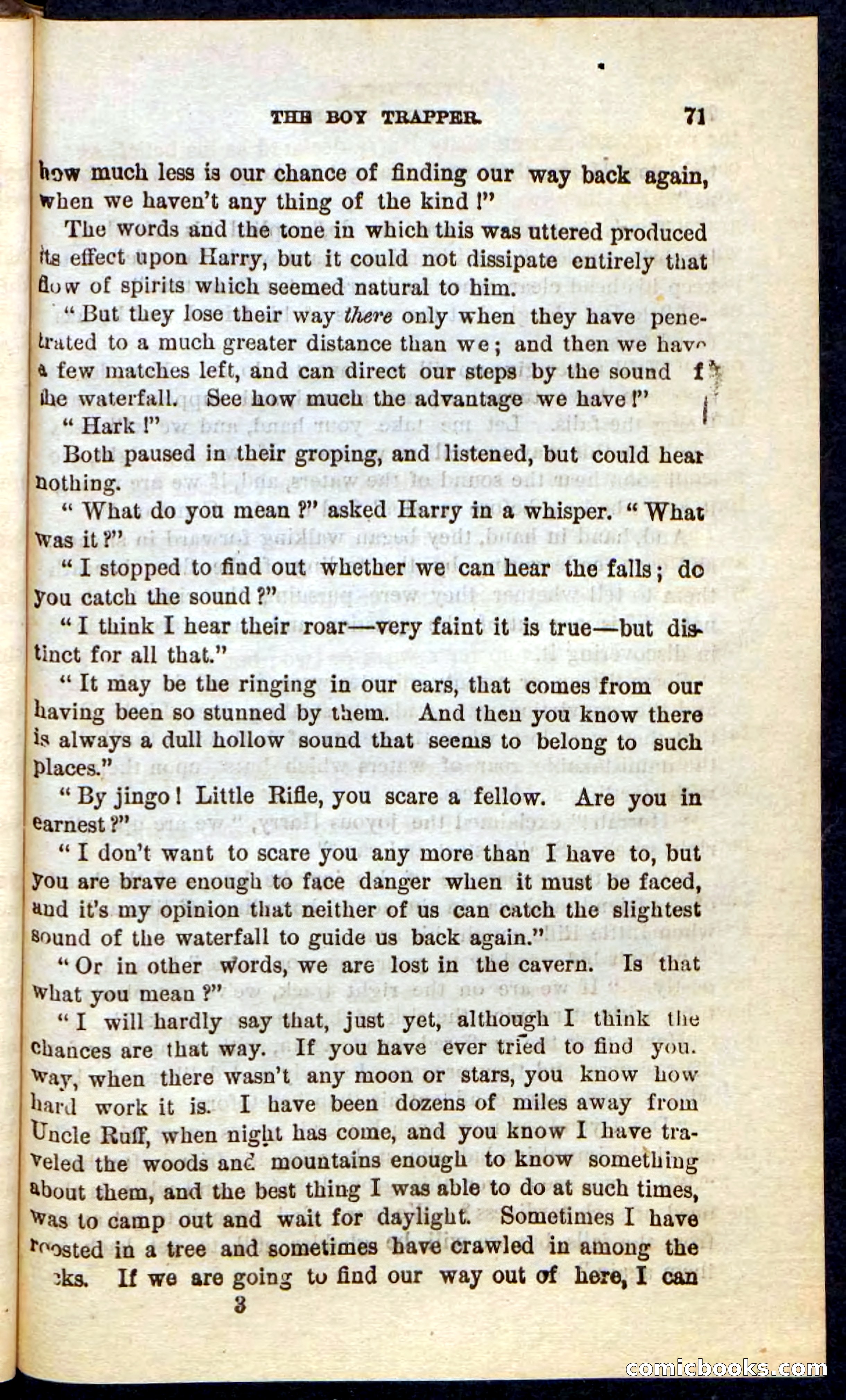 Beadle's Pocket Novels No. 74: Little Rifle, the Boy Trapper — page 67 of 100