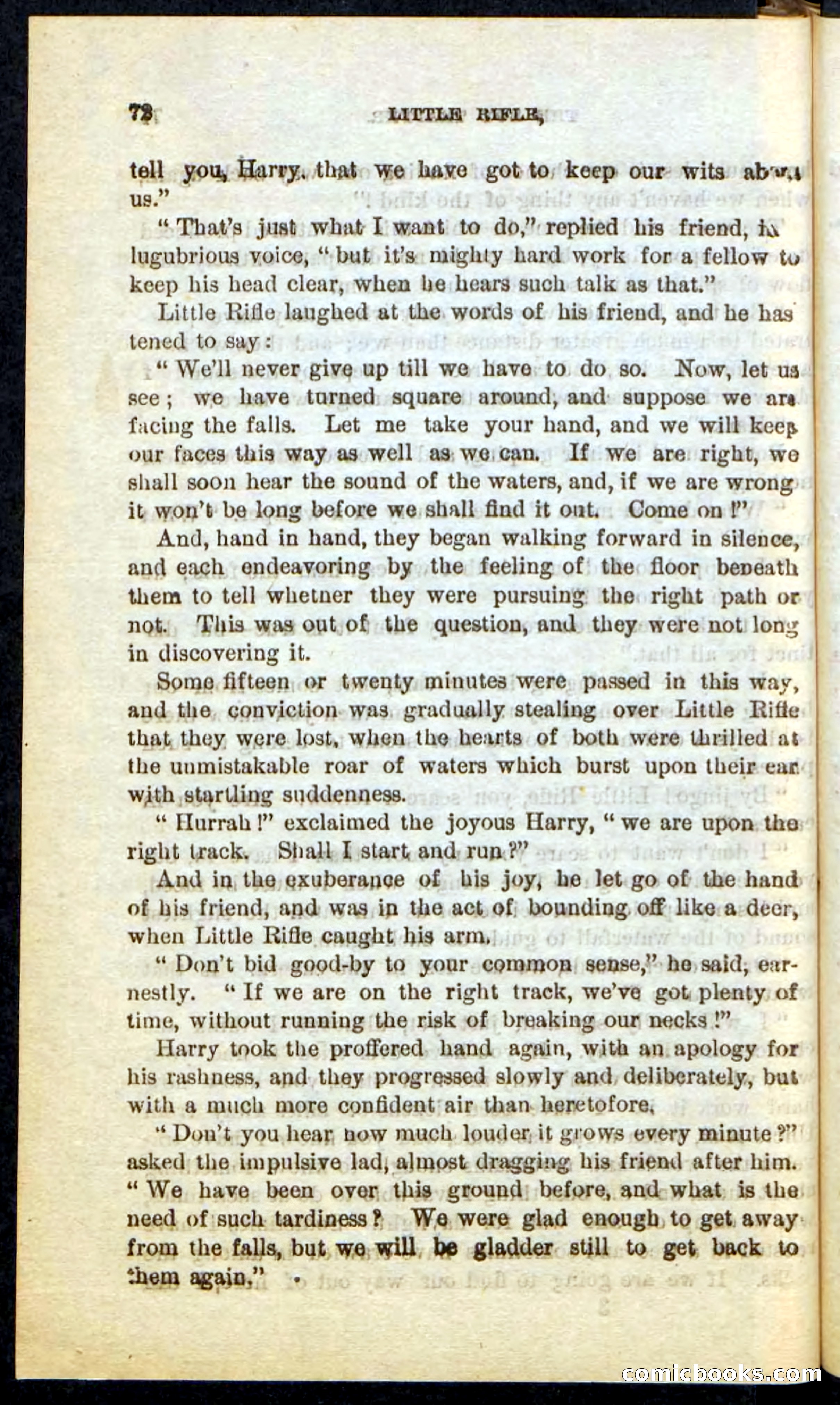 Beadle's Pocket Novels No. 74: Little Rifle, the Boy Trapper — page 68 of 100
