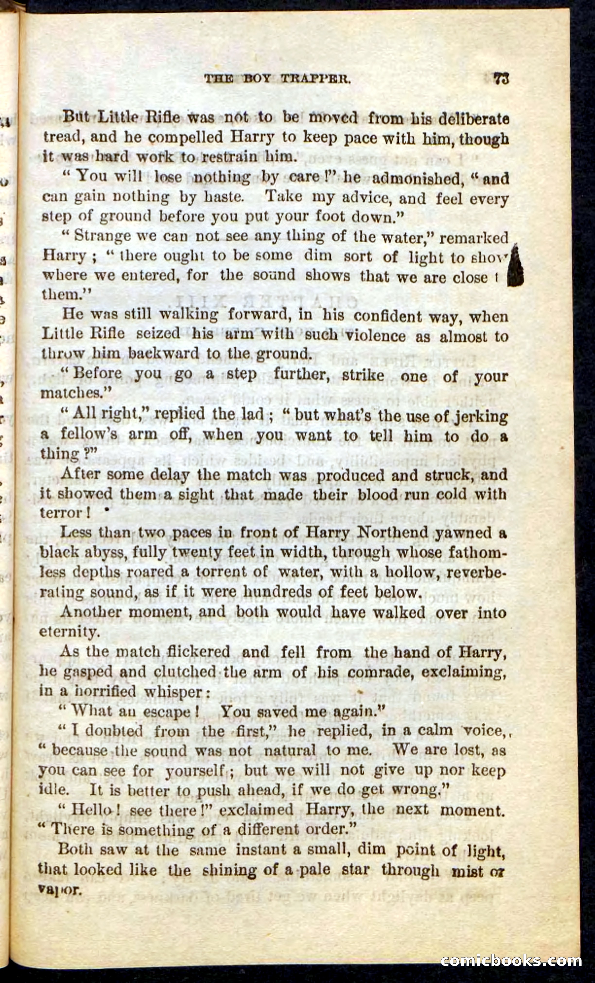 Beadle's Pocket Novels No. 74: Little Rifle, the Boy Trapper — page 69 of 100