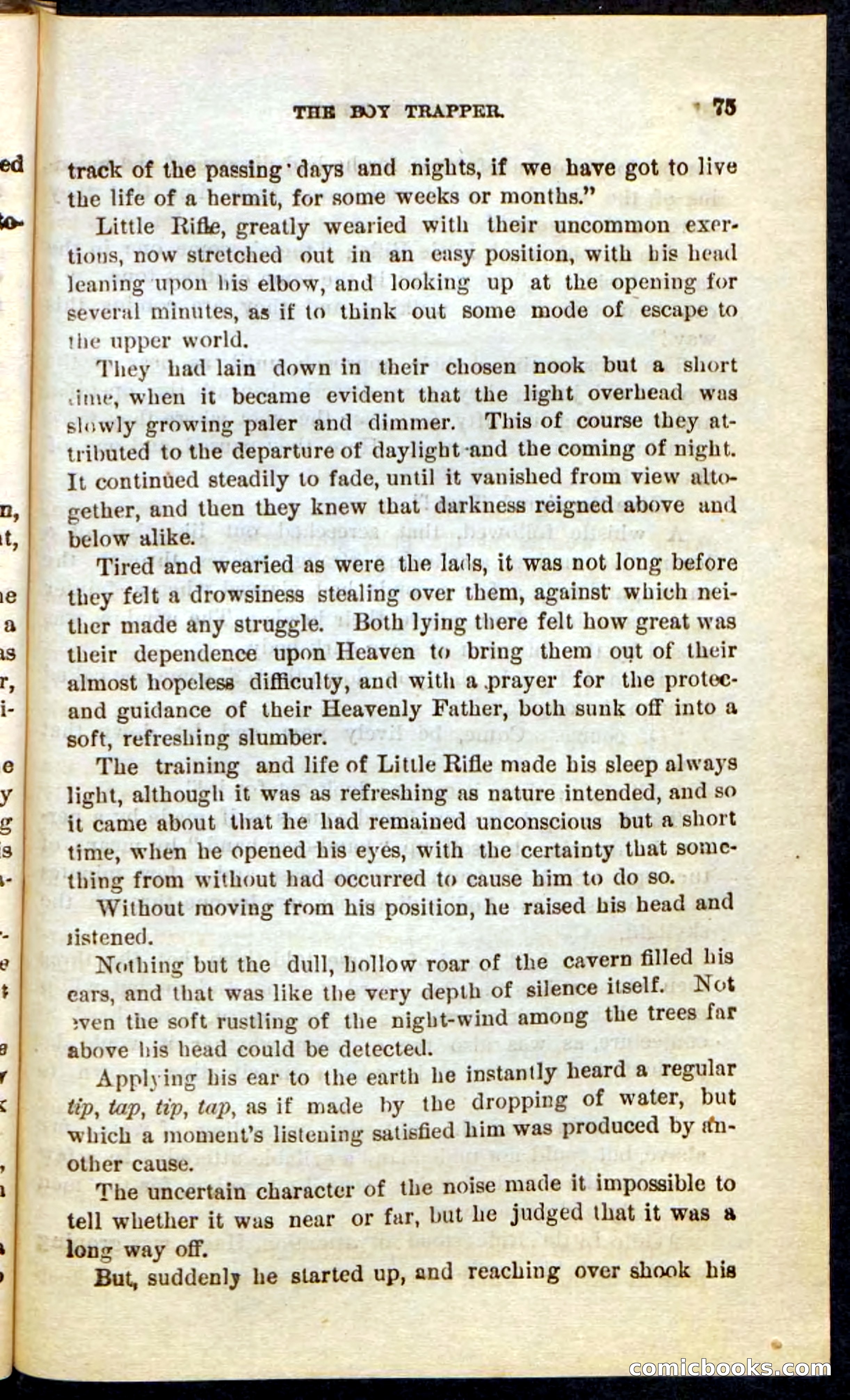 Beadle's Pocket Novels No. 74: Little Rifle, the Boy Trapper — page 71 of 100