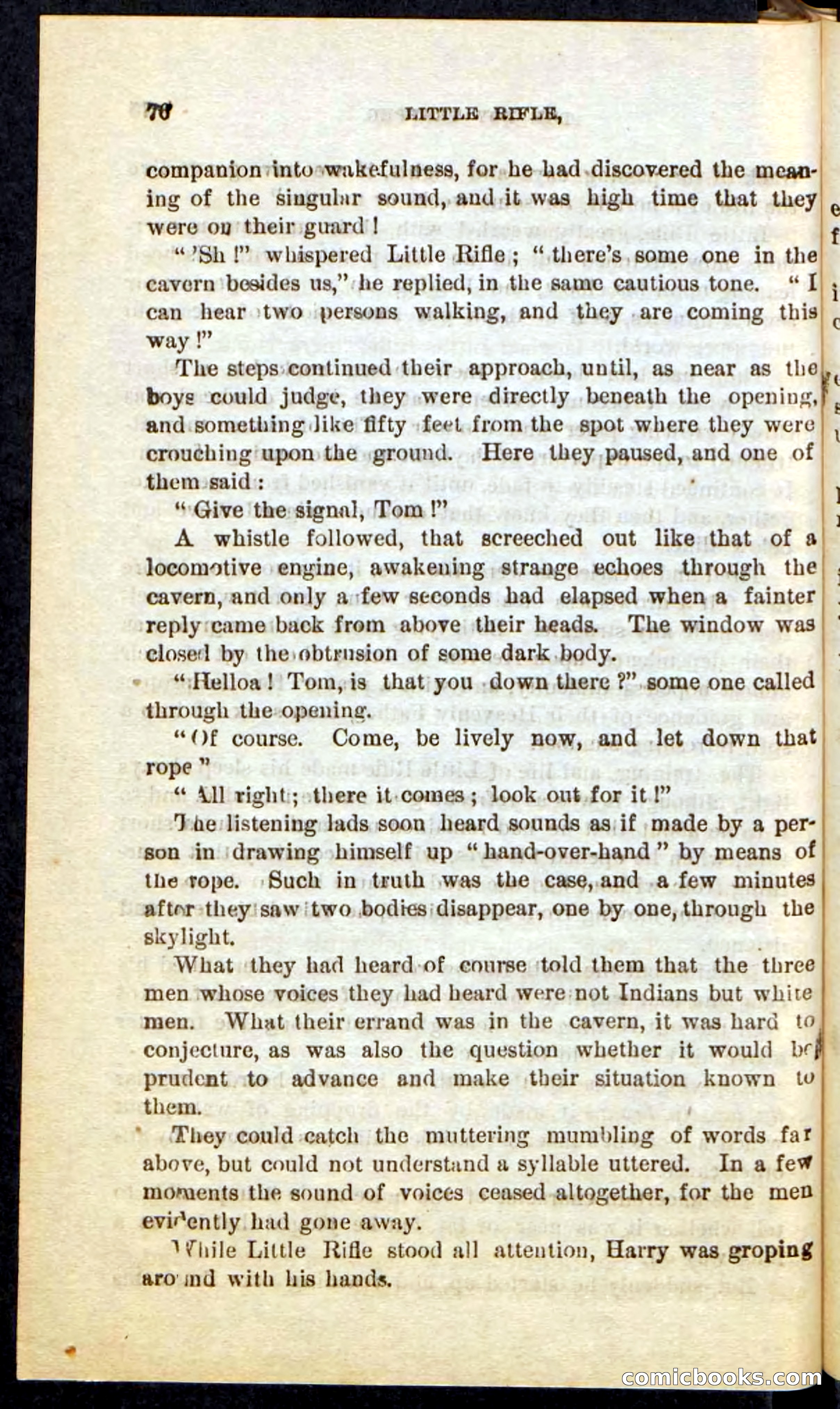 Beadle's Pocket Novels No. 74: Little Rifle, the Boy Trapper — page 72 of 100