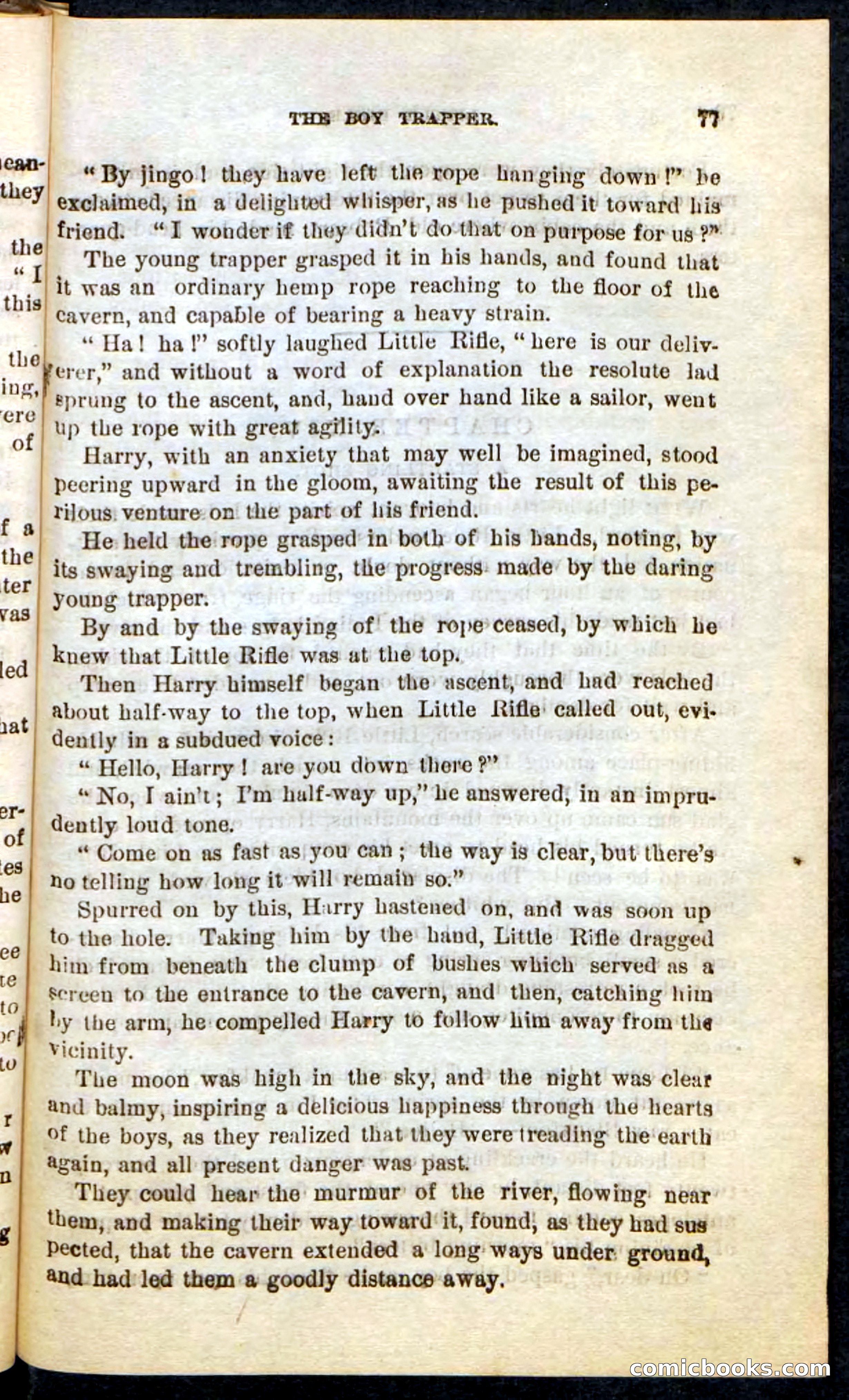 Beadle's Pocket Novels No. 74: Little Rifle, the Boy Trapper — page 73 of 100