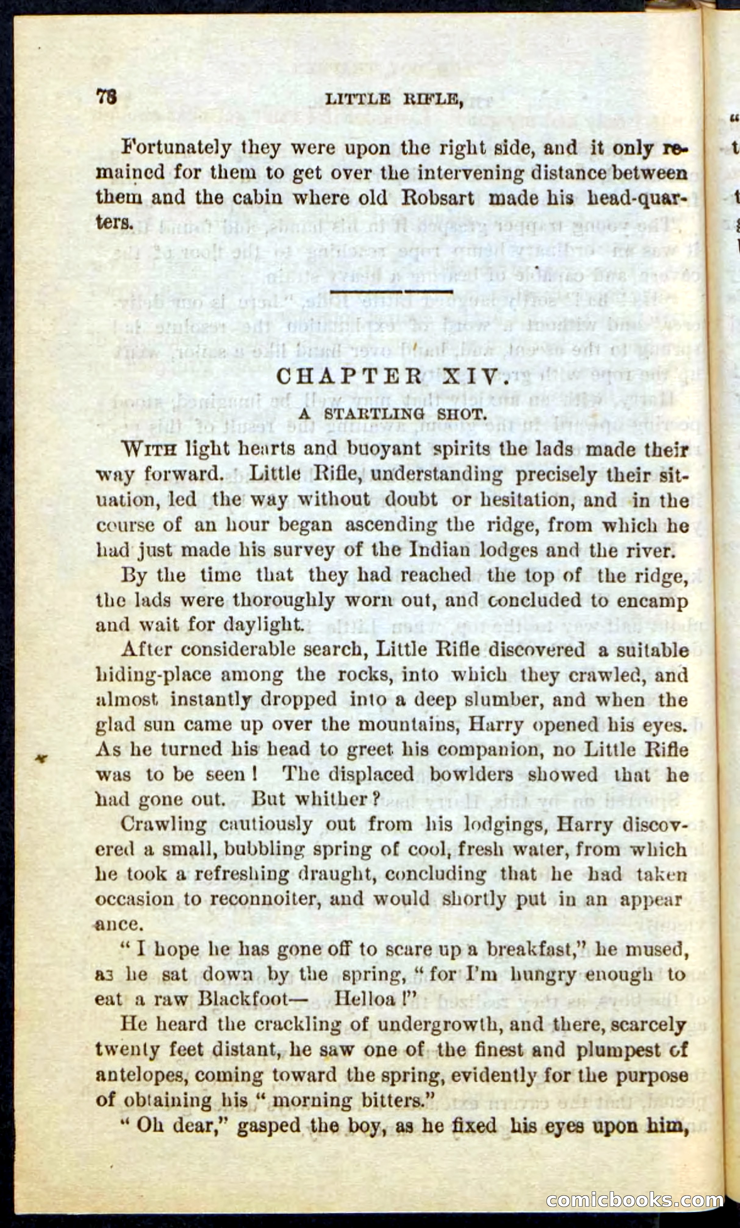 Beadle's Pocket Novels No. 74: Little Rifle, the Boy Trapper — page 74 of 100