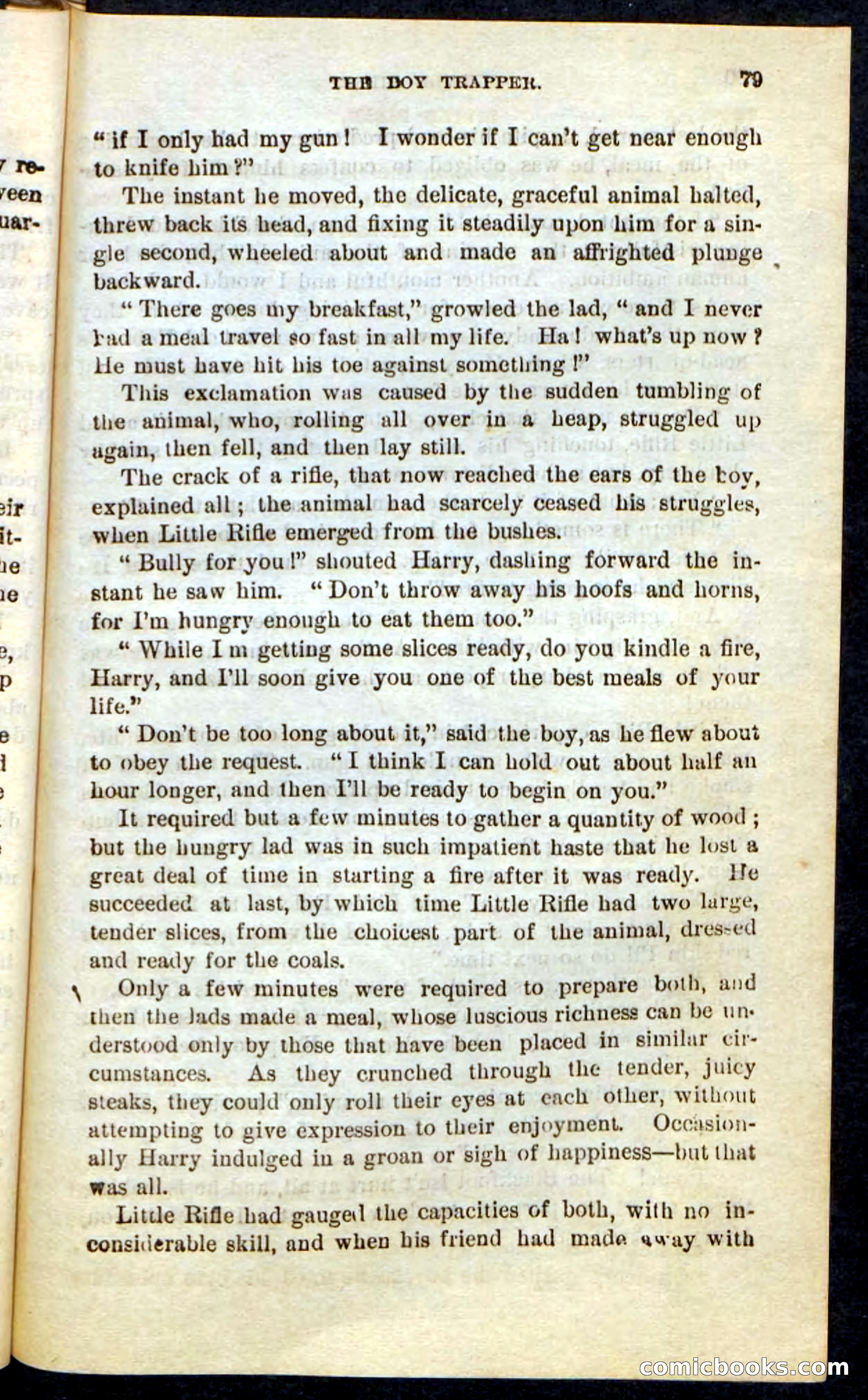 Beadle's Pocket Novels No. 74: Little Rifle, the Boy Trapper — page 75 of 100