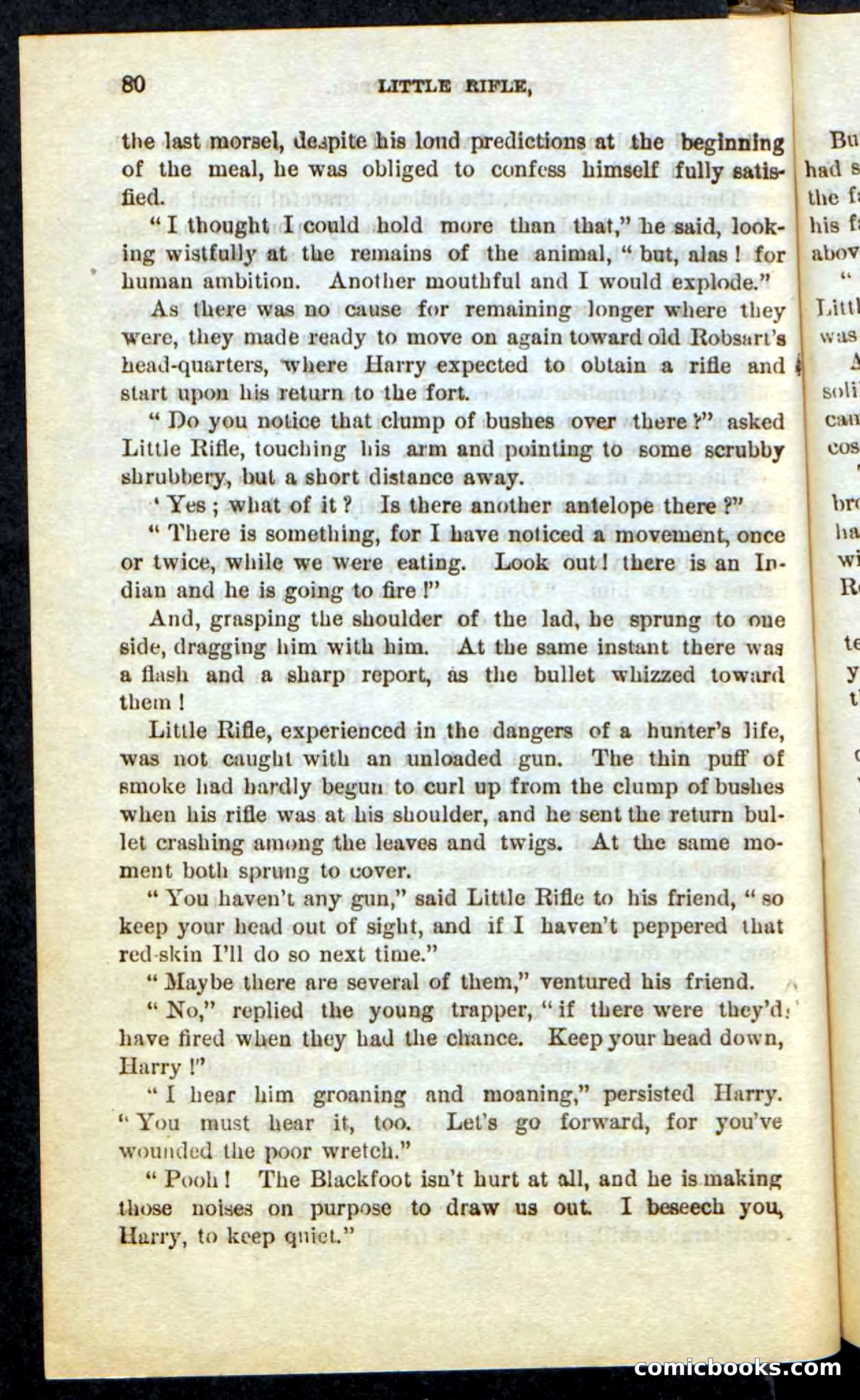 Beadle's Pocket Novels No. 74: Little Rifle, the Boy Trapper — page 76 of 100