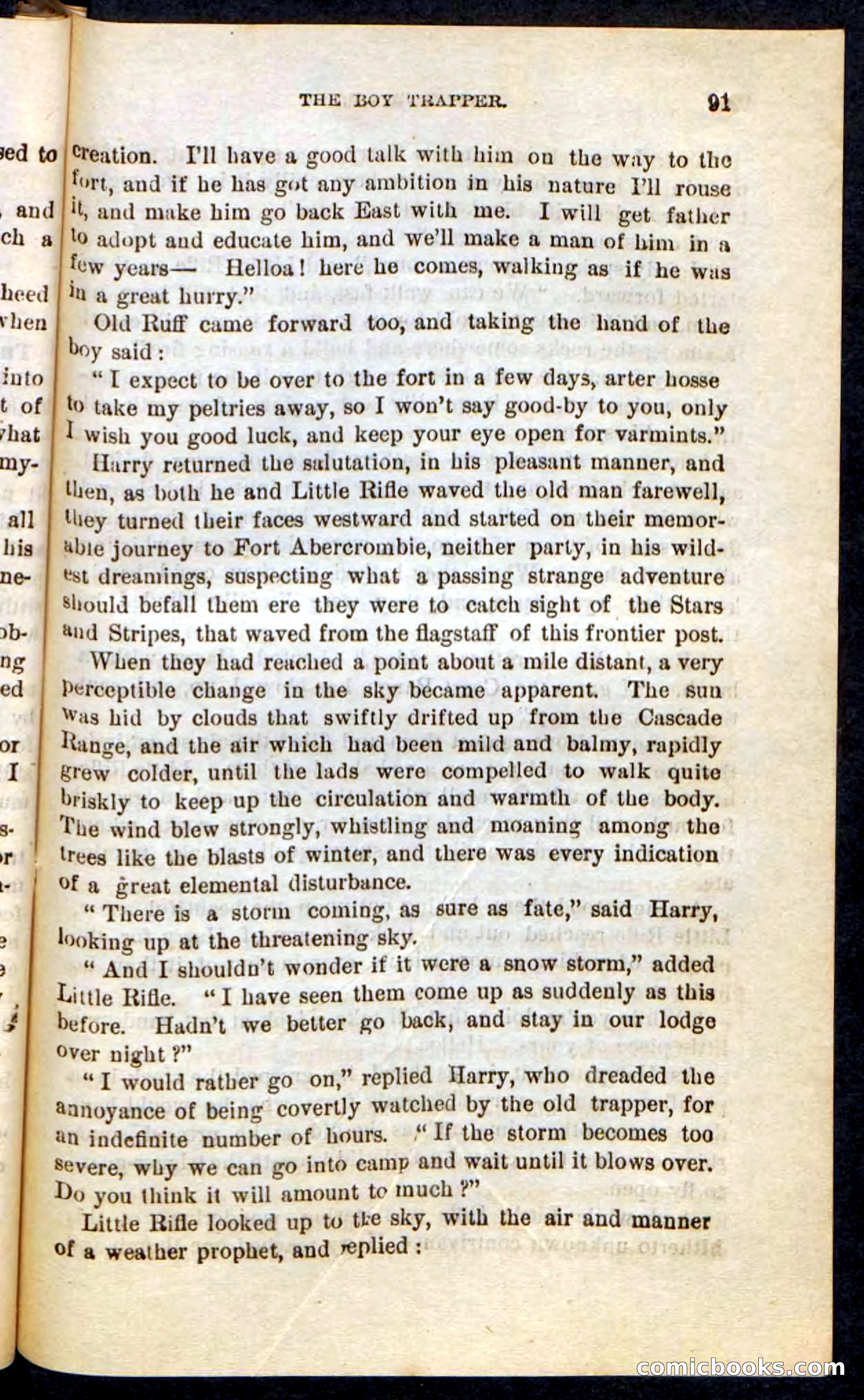 Beadle's Pocket Novels No. 74: Little Rifle, the Boy Trapper — page 87 of 100