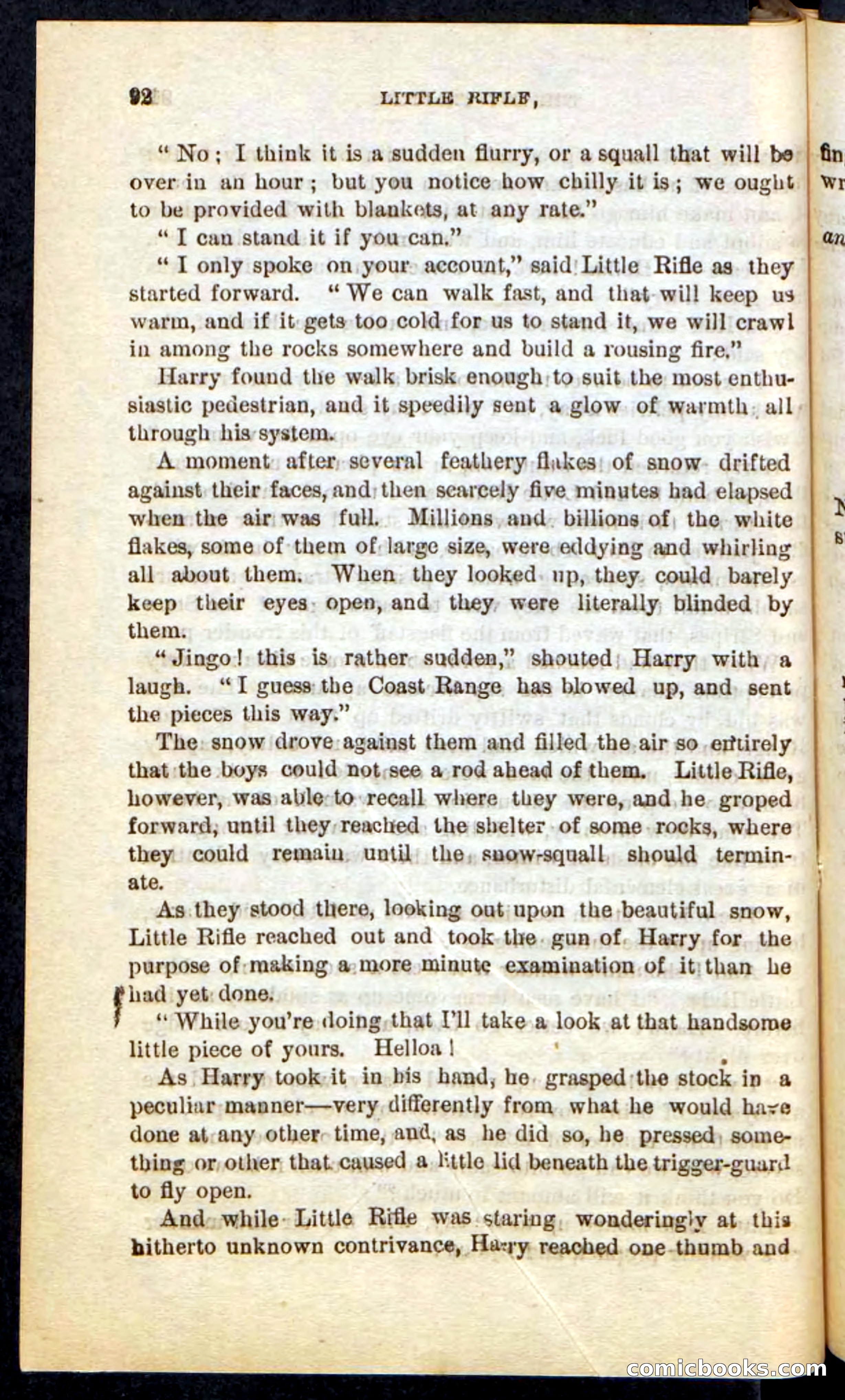 Beadle's Pocket Novels No. 74: Little Rifle, the Boy Trapper — page 88 of 100