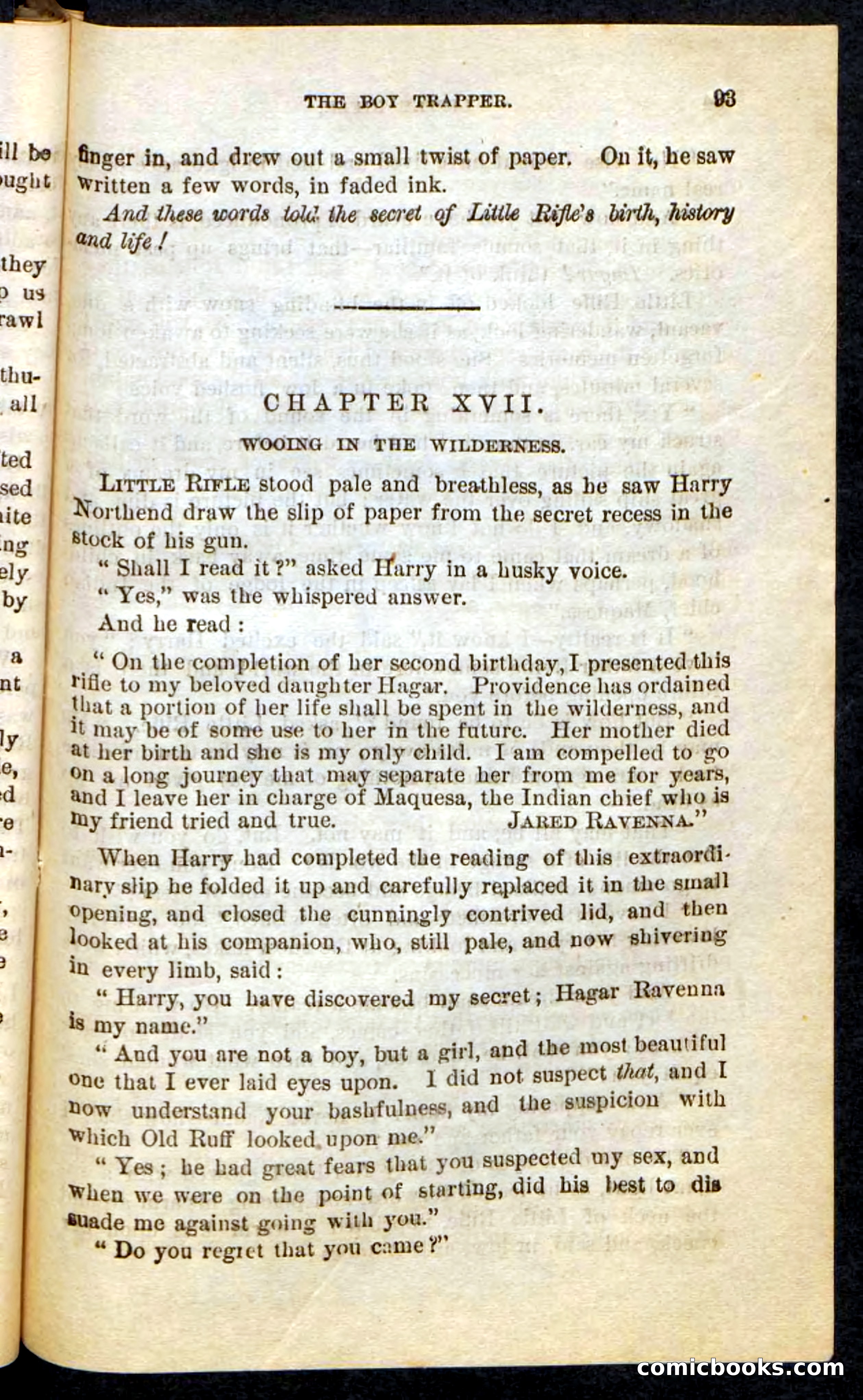 Beadle's Pocket Novels No. 74: Little Rifle, the Boy Trapper — page 89 of 100