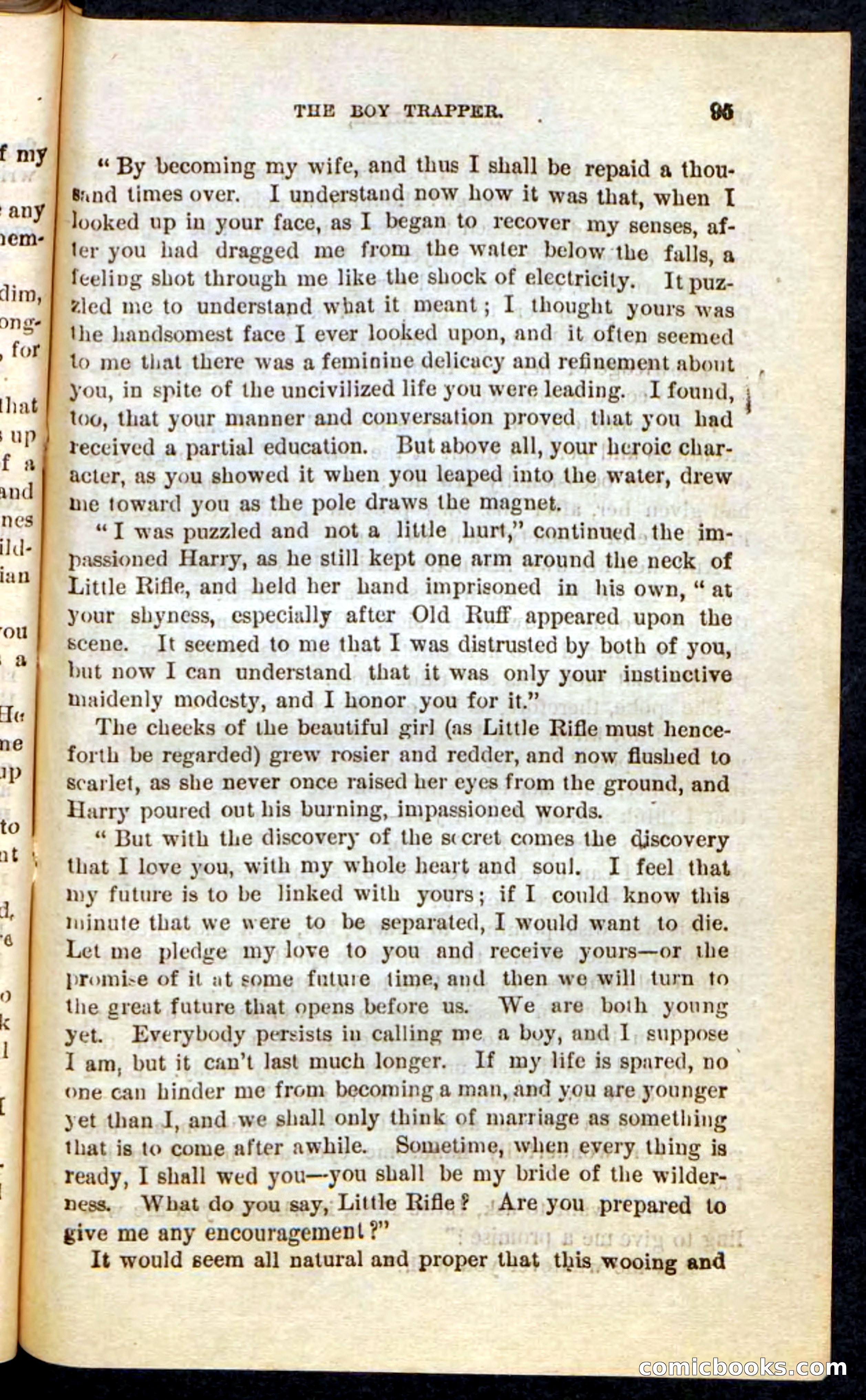 Beadle's Pocket Novels No. 74: Little Rifle, the Boy Trapper — page 91 of 100
