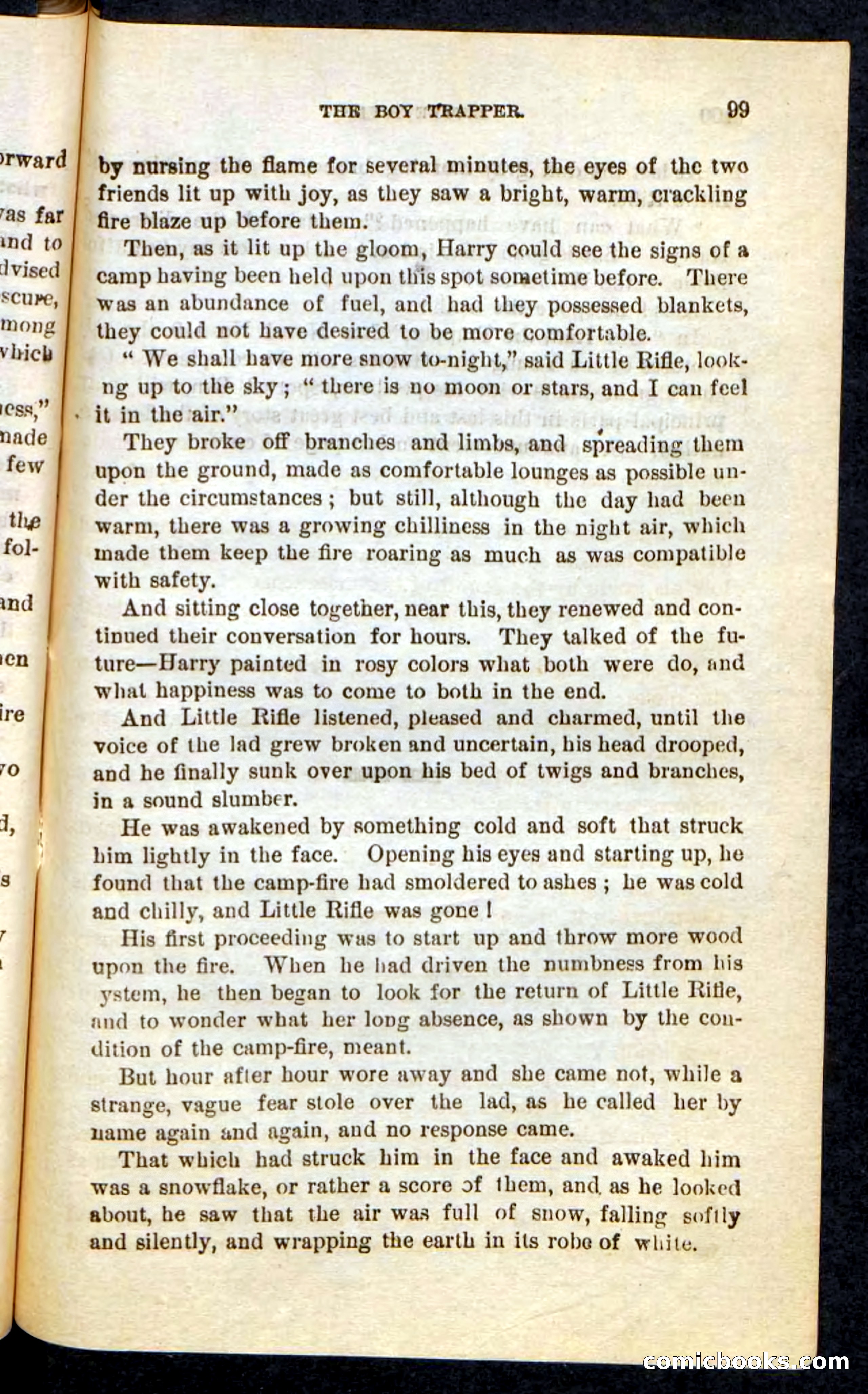 Beadle's Pocket Novels No. 74: Little Rifle, the Boy Trapper — page 95 of 100