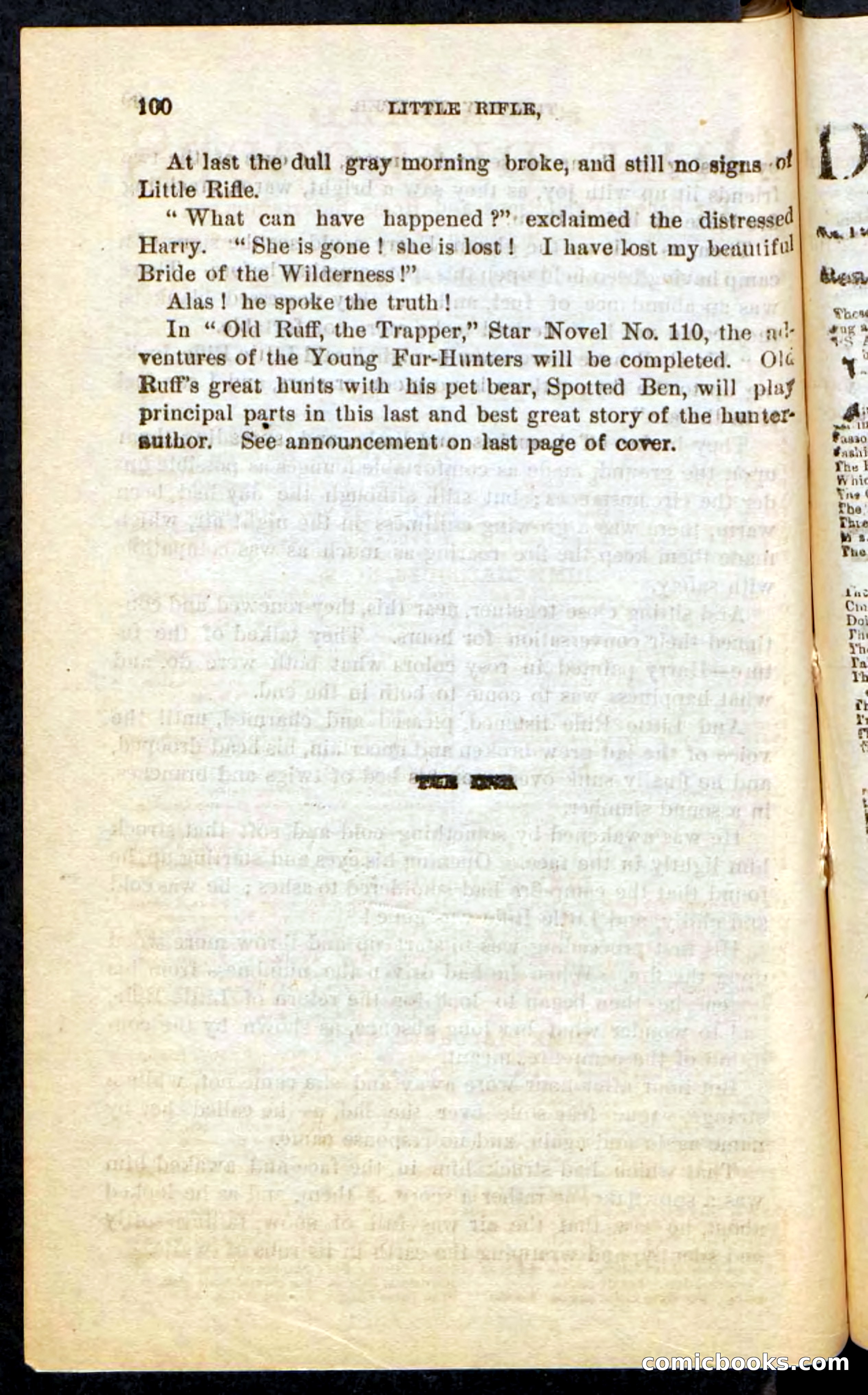 Beadle's Pocket Novels No. 74: Little Rifle, the Boy Trapper — page 96 of 100