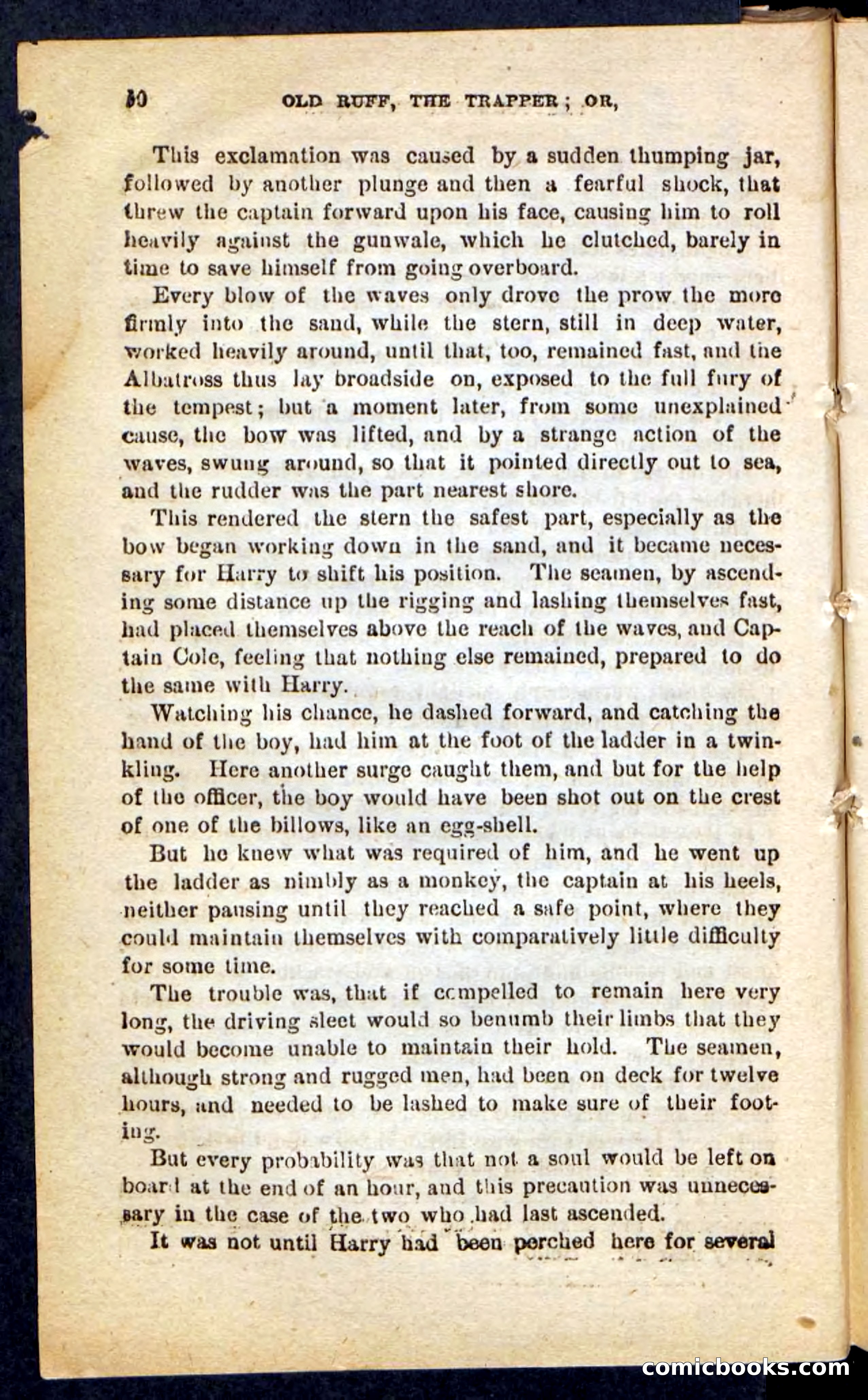 Old Ruff, The Trapper — page 86 of 100