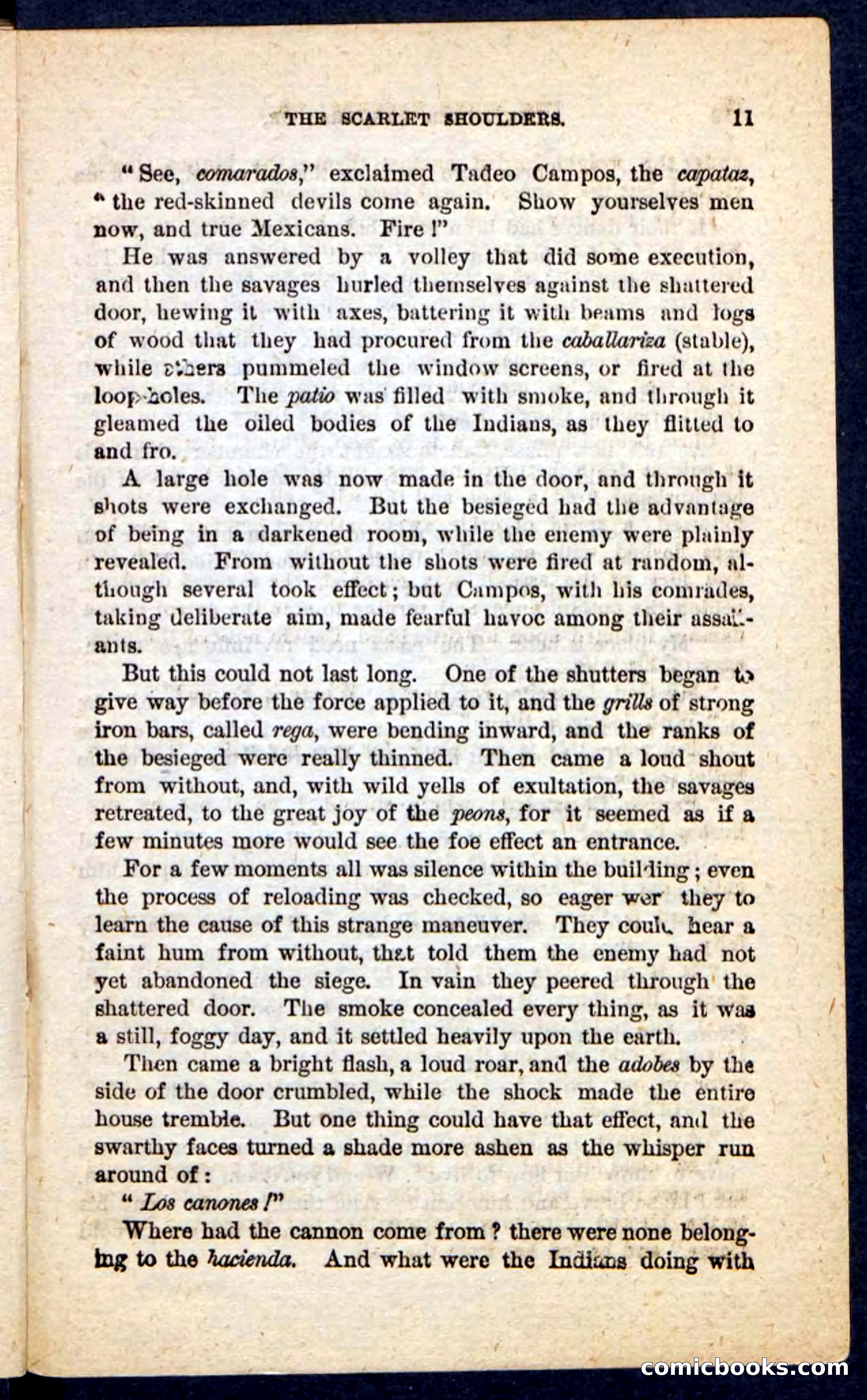 The Scarlet Shoulder — page 7 of 100