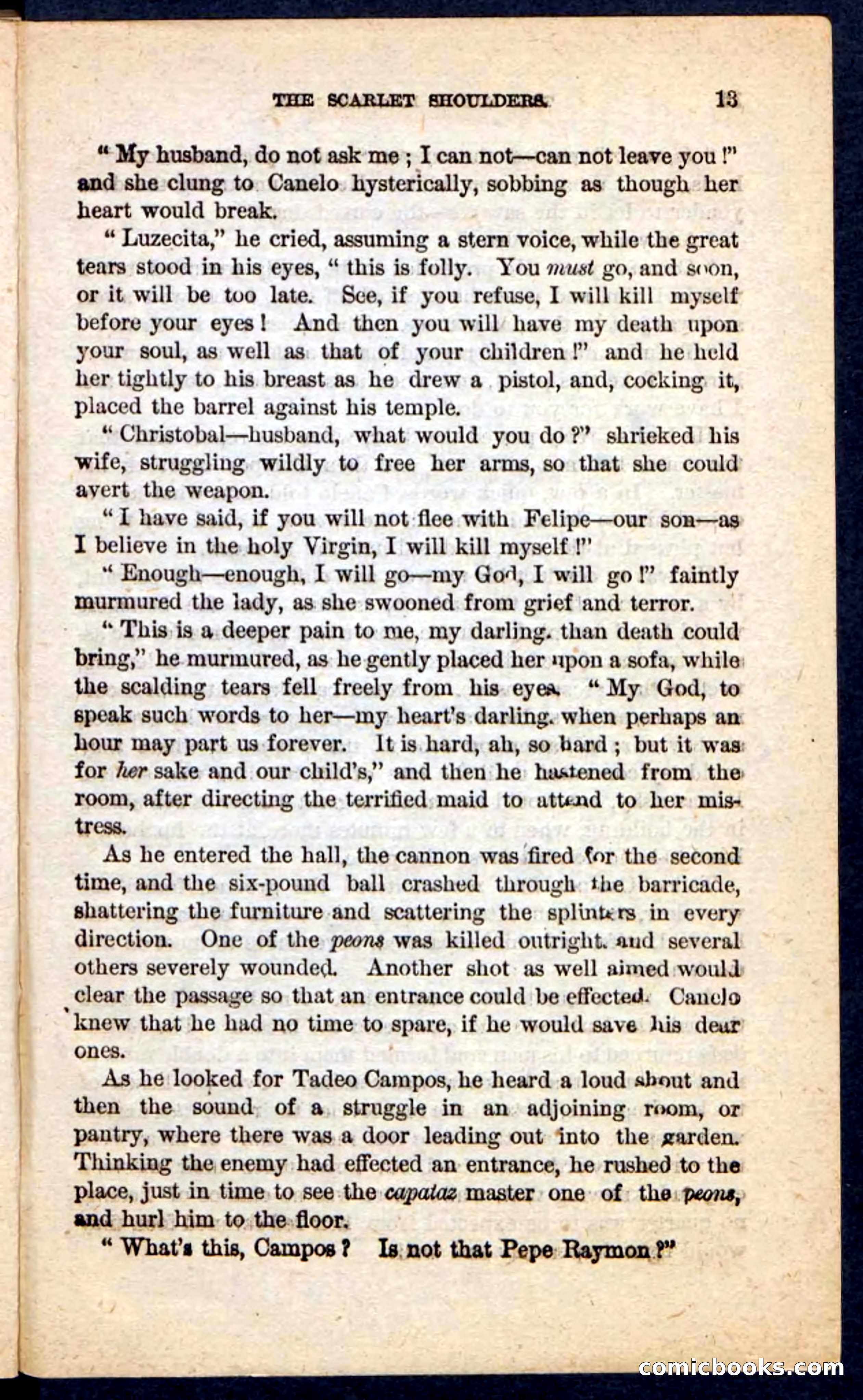 The Scarlet Shoulder — page 9 of 100