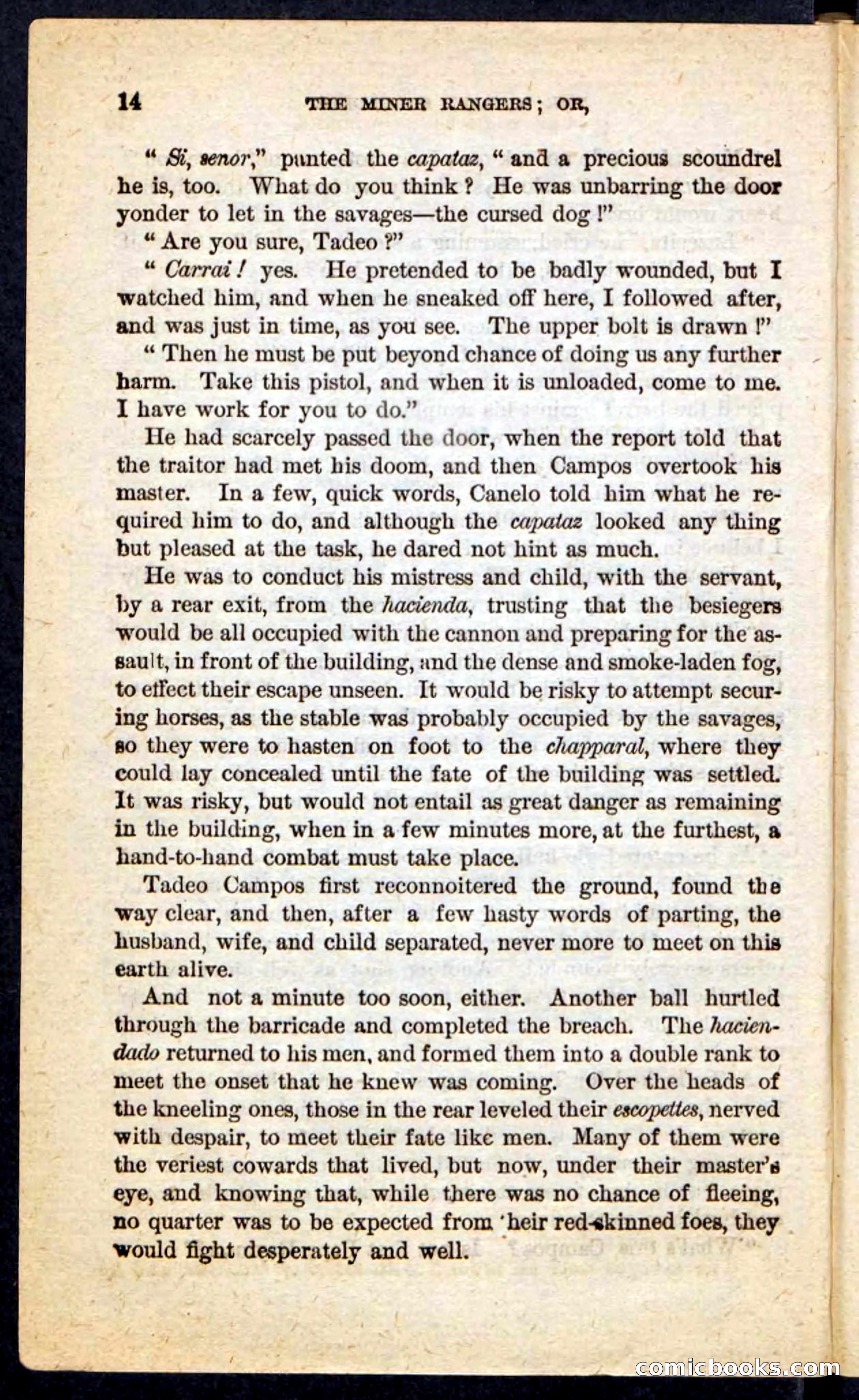 The Scarlet Shoulder — page 10 of 100