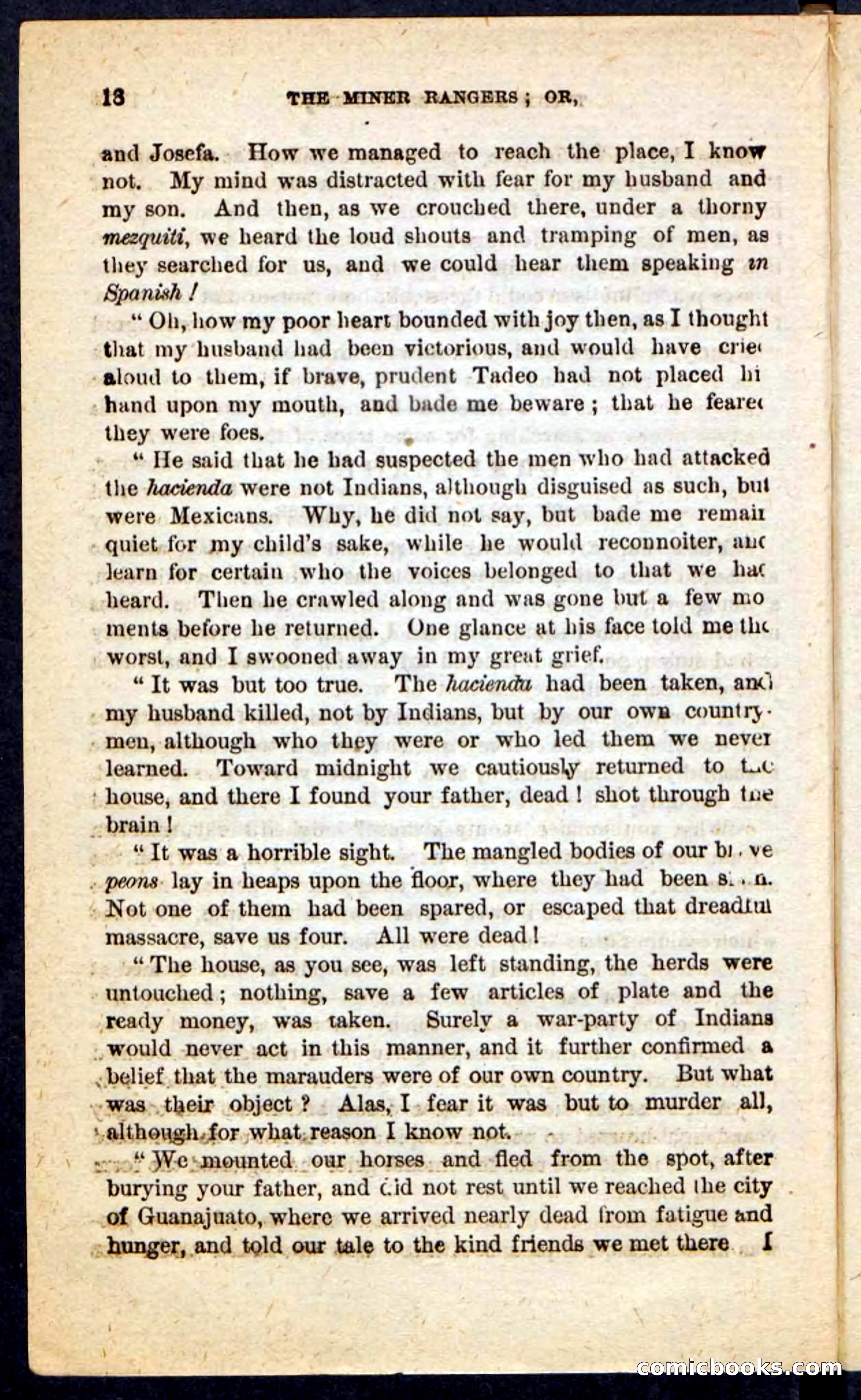 The Scarlet Shoulder — page 14 of 100