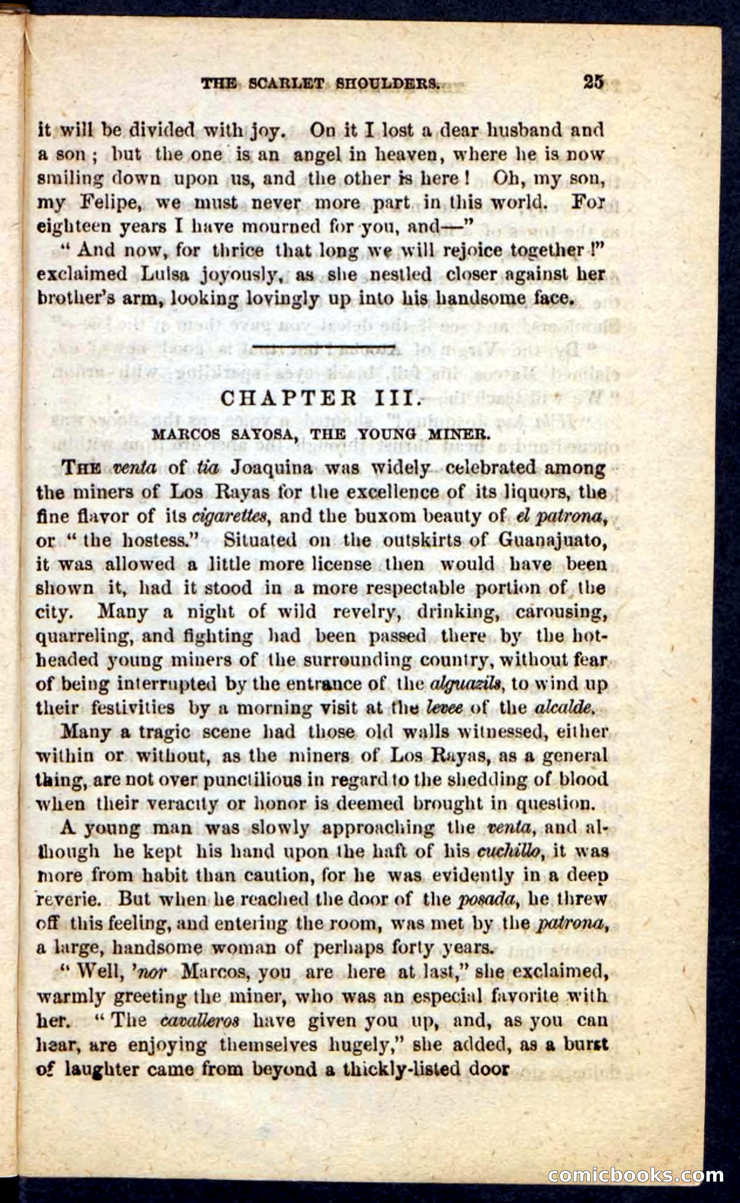 The Scarlet Shoulder — page 21 of 100