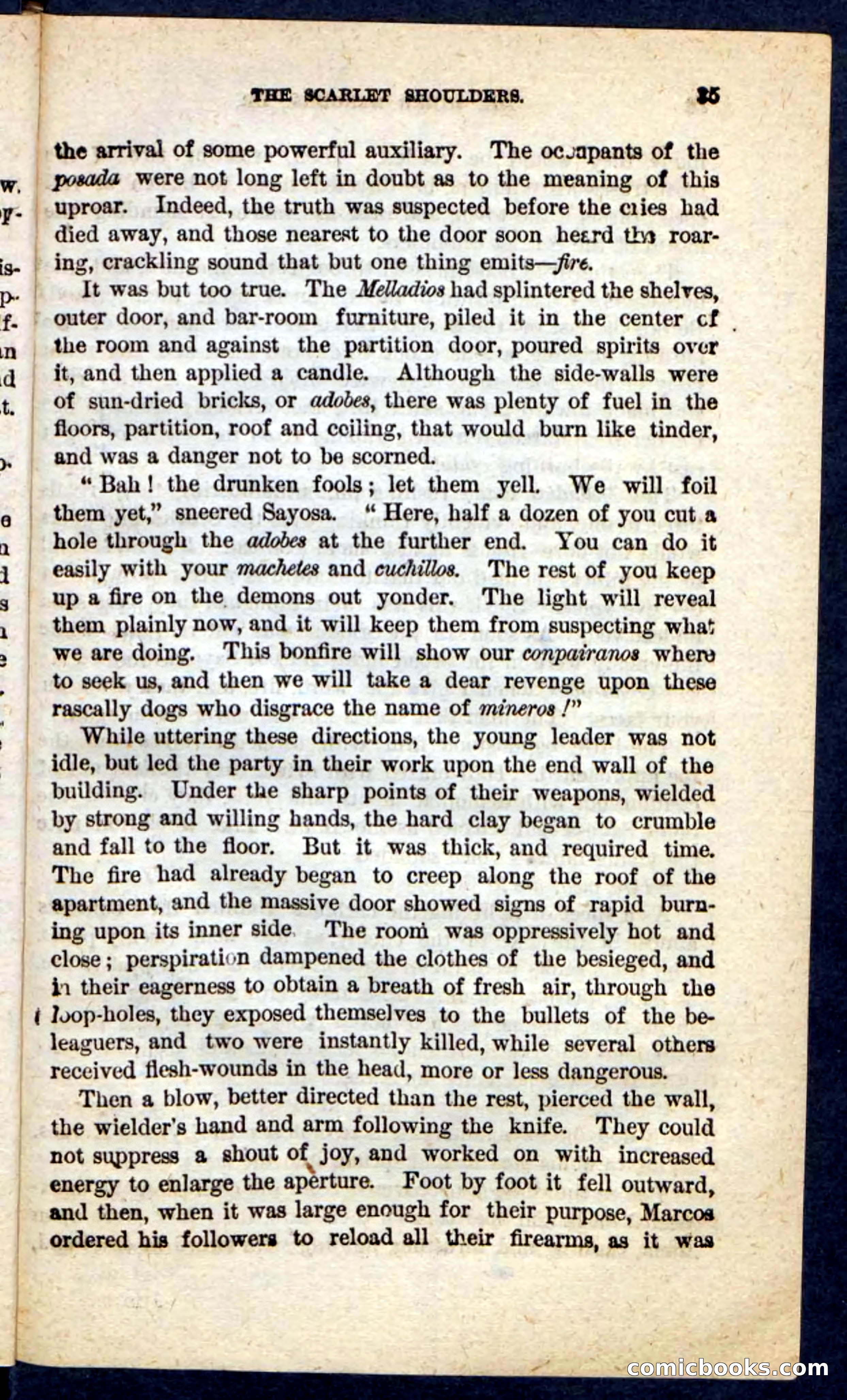 The Scarlet Shoulder — page 31 of 100