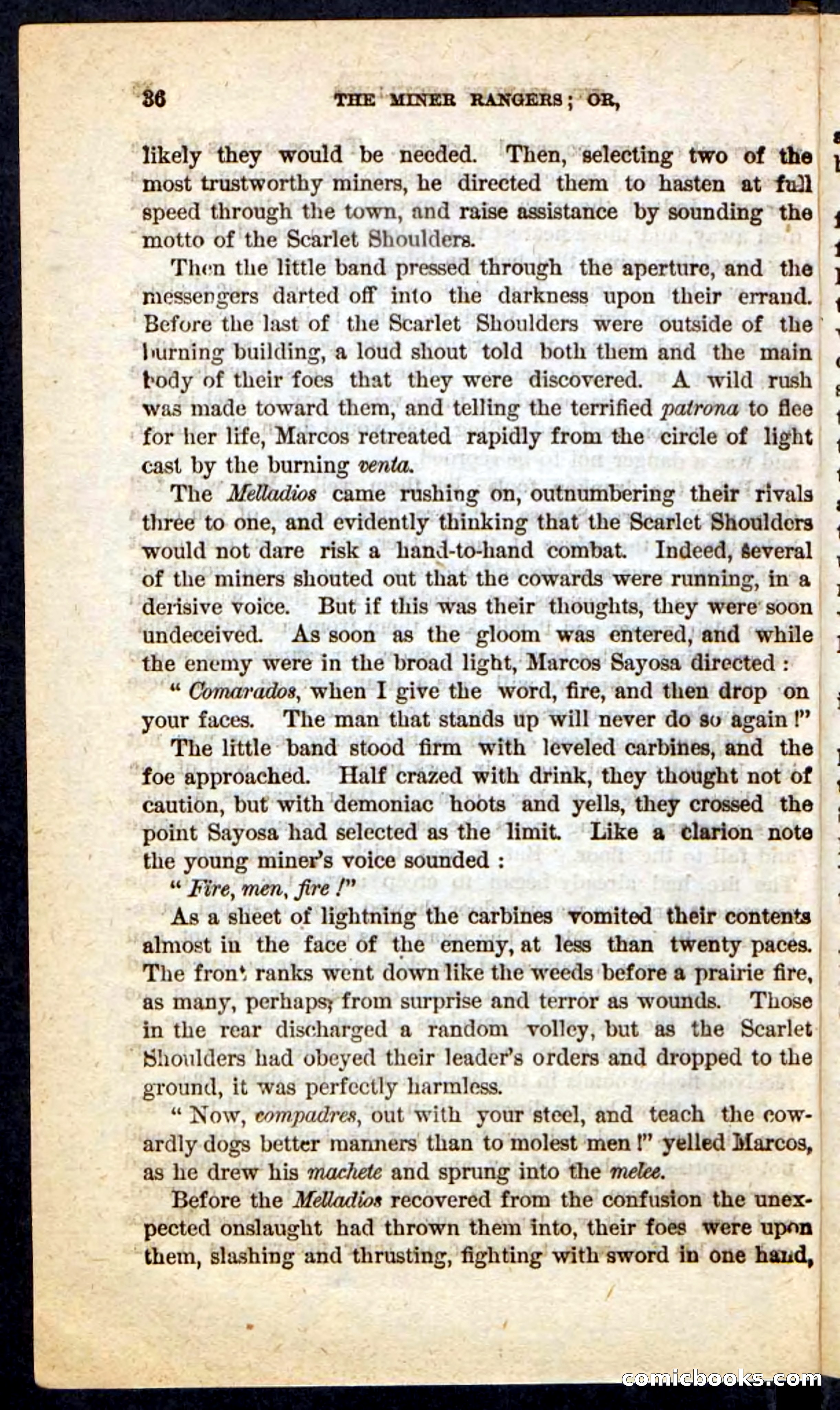The Scarlet Shoulder — page 32 of 100