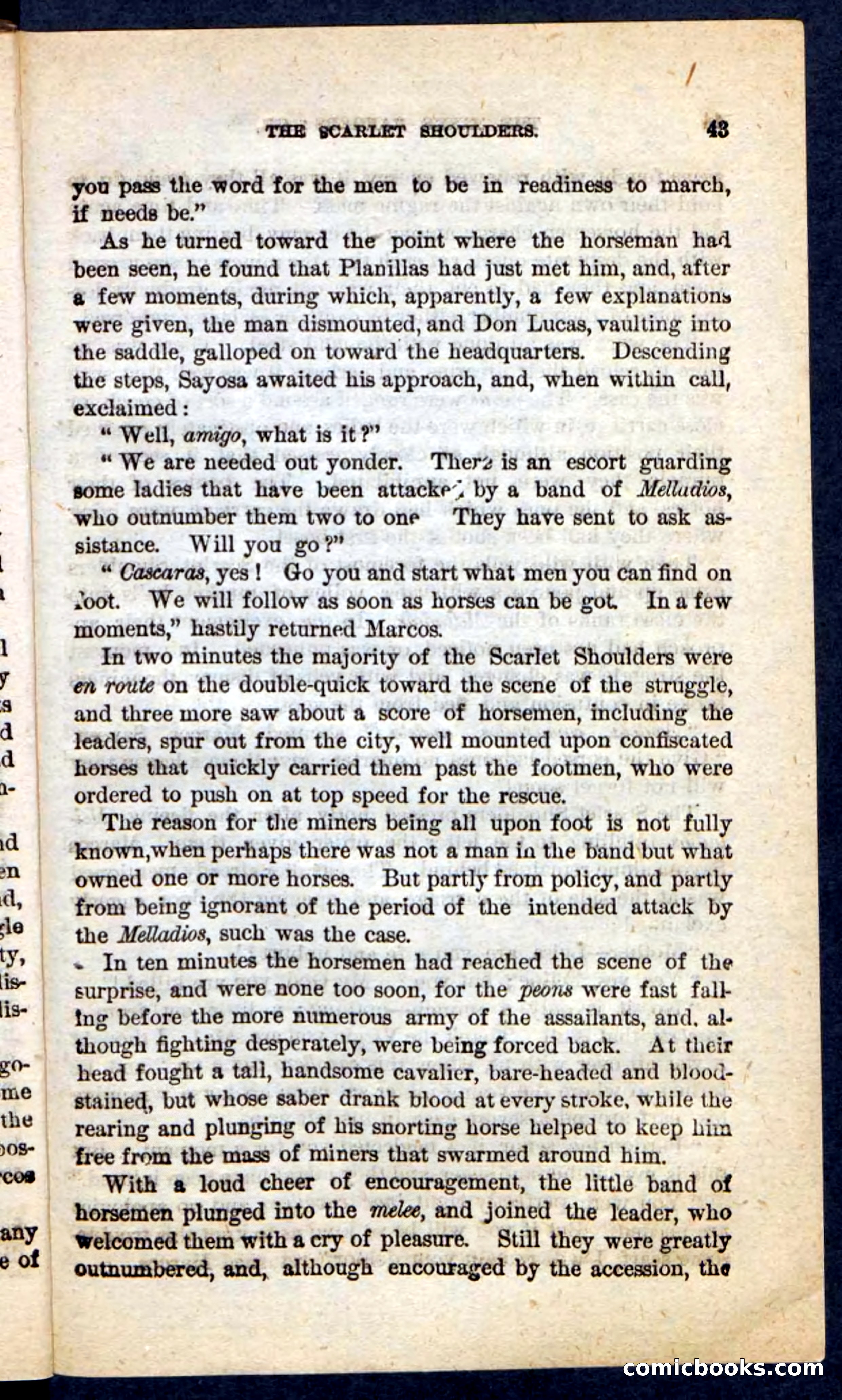 The Scarlet Shoulder — page 39 of 100