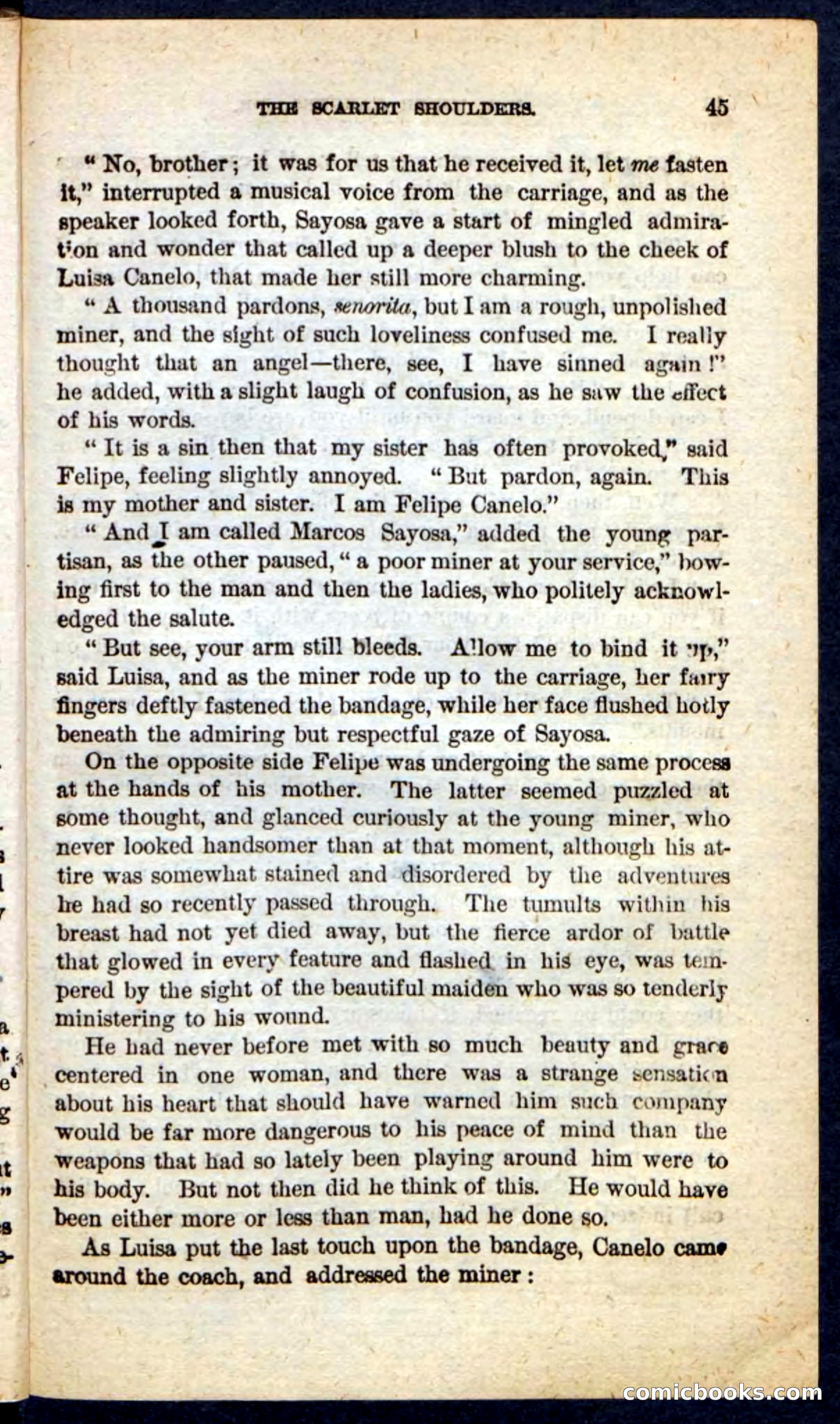 The Scarlet Shoulder — page 41 of 100