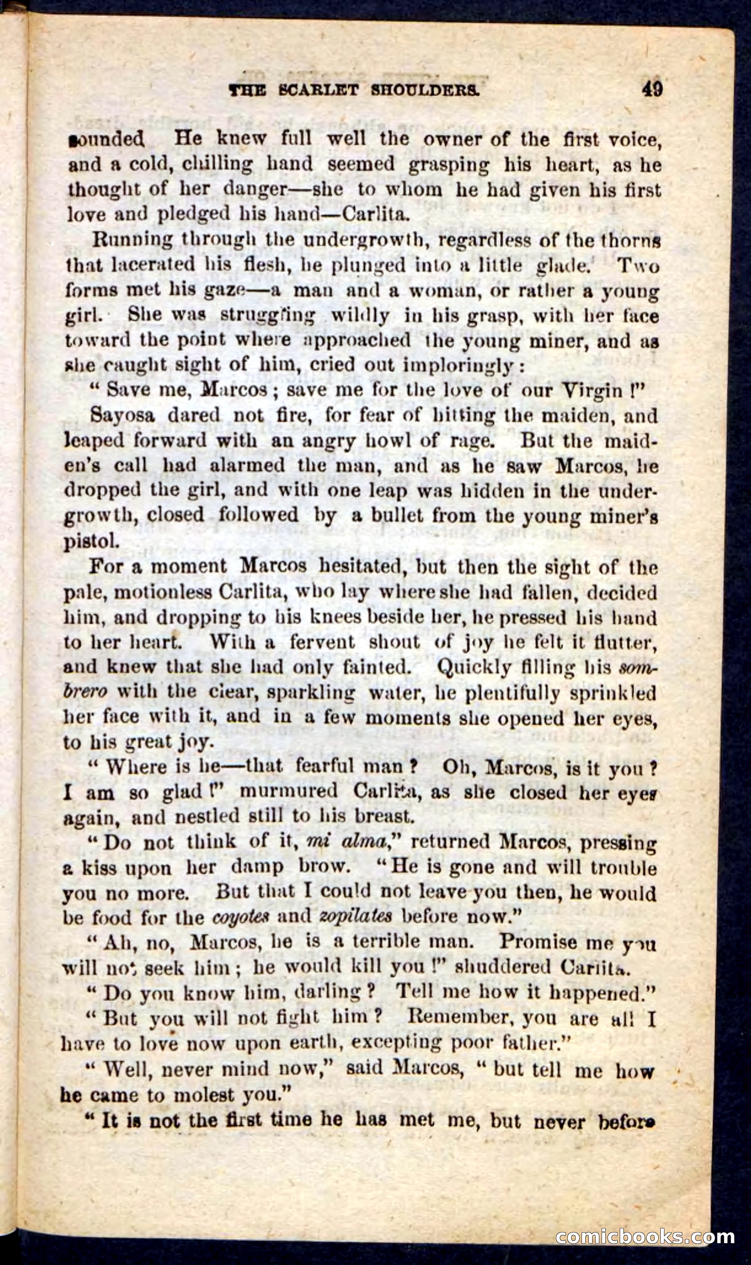The Scarlet Shoulder — page 45 of 100