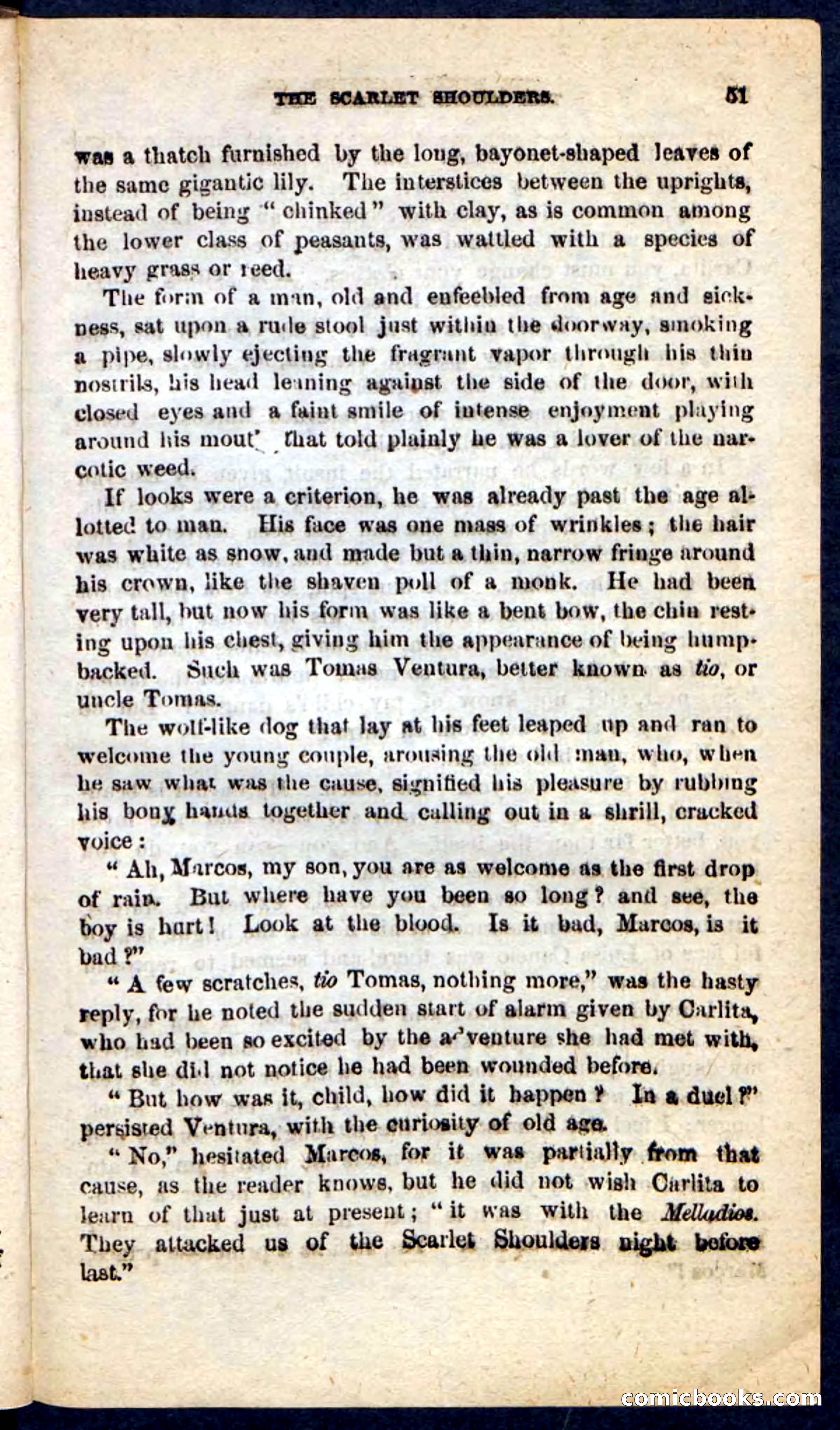 The Scarlet Shoulder — page 47 of 100